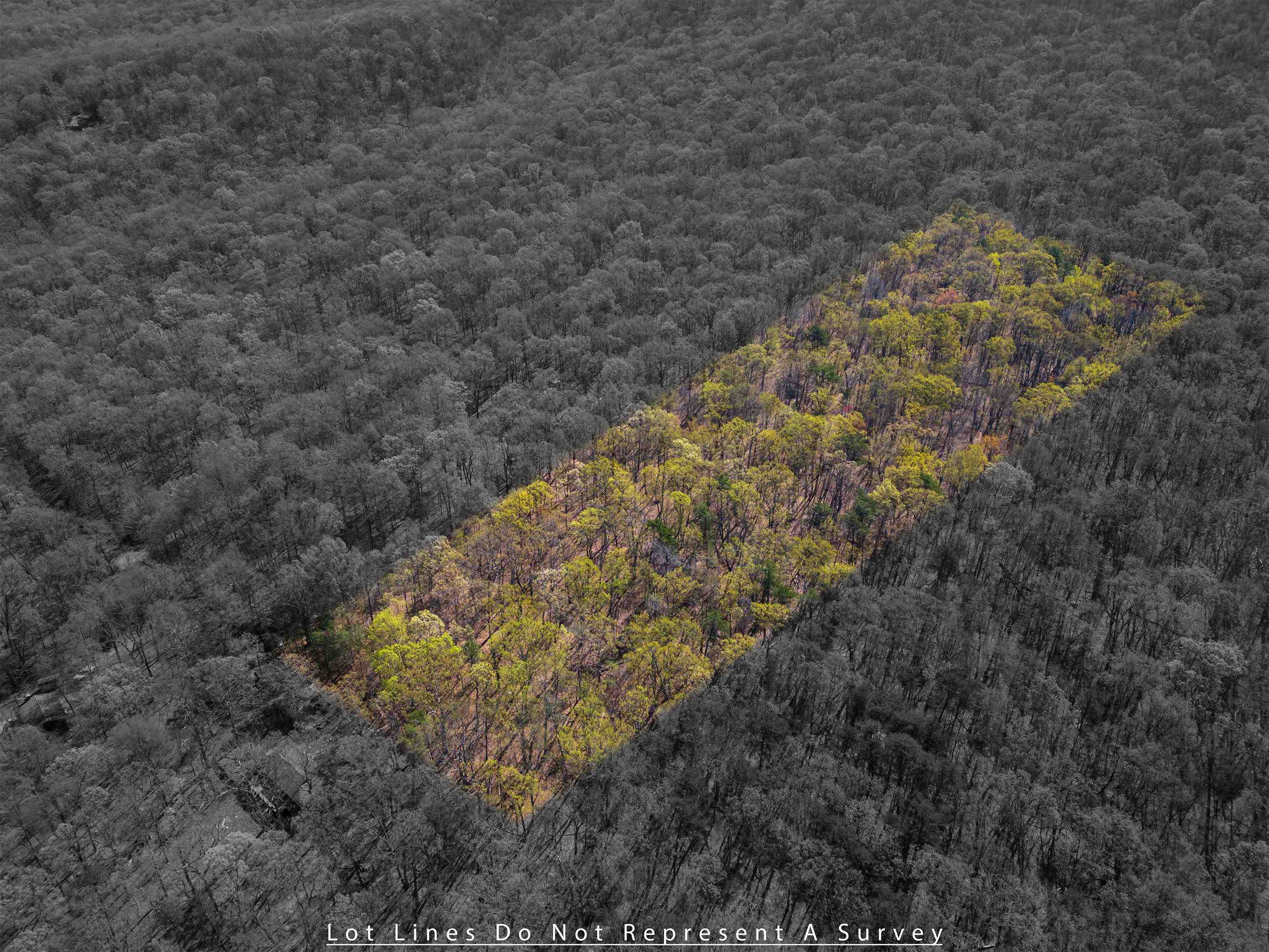 TBD SHOTGUN SPRING RD, NEW MARKET, Virginia 22844, ,Land,TBD SHOTGUN SPRING RD,670917 MLS # 670917