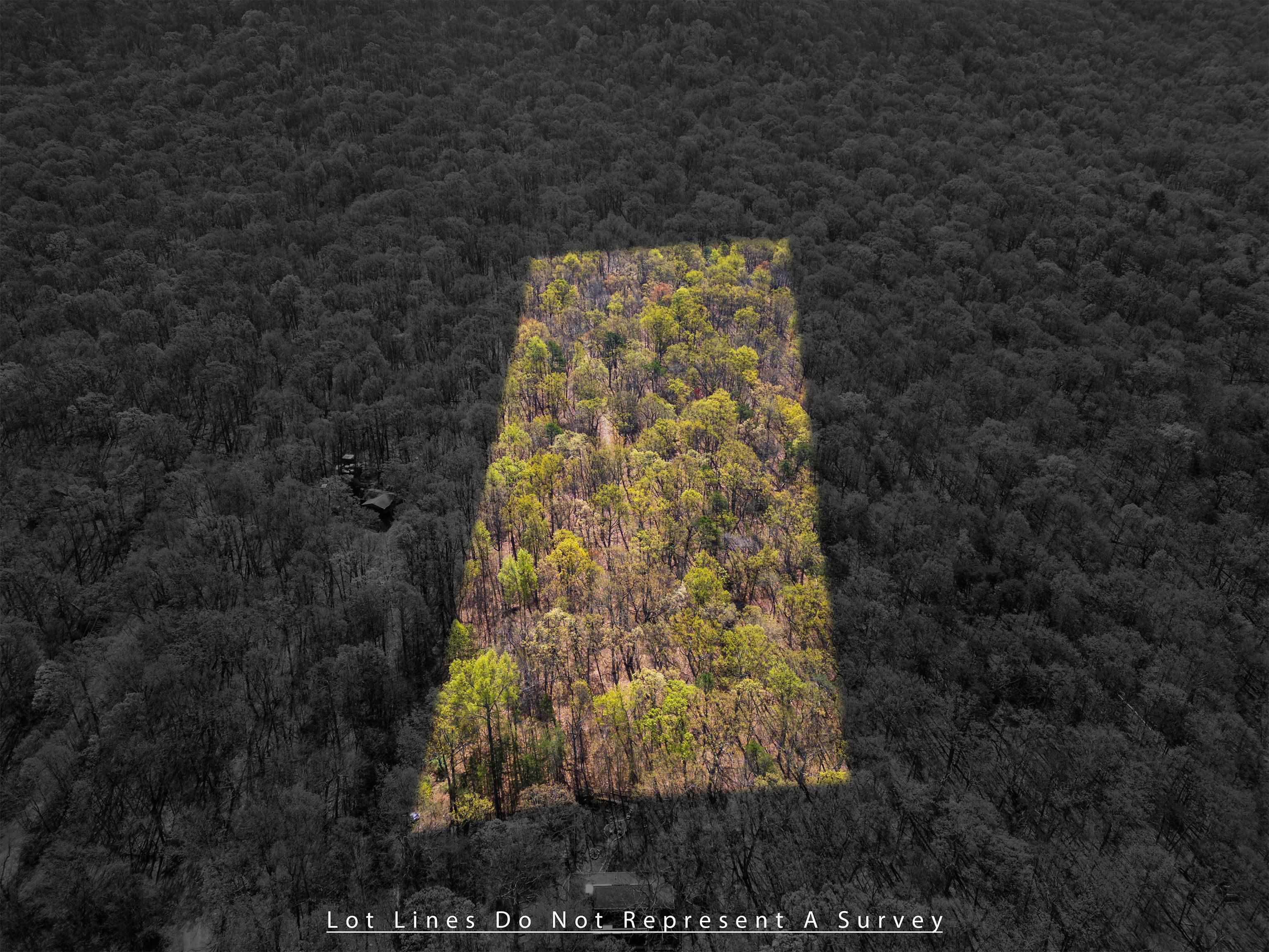 TBD SHOTGUN SPRING RD, NEW MARKET, Virginia 22844, ,Land,TBD SHOTGUN SPRING RD,670917 MLS # 670917