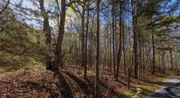 TBD SHOTGUN SPRING RD, NEW MARKET, Virginia 22844, ,Land,TBD SHOTGUN SPRING RD,670917 MLS # 670917