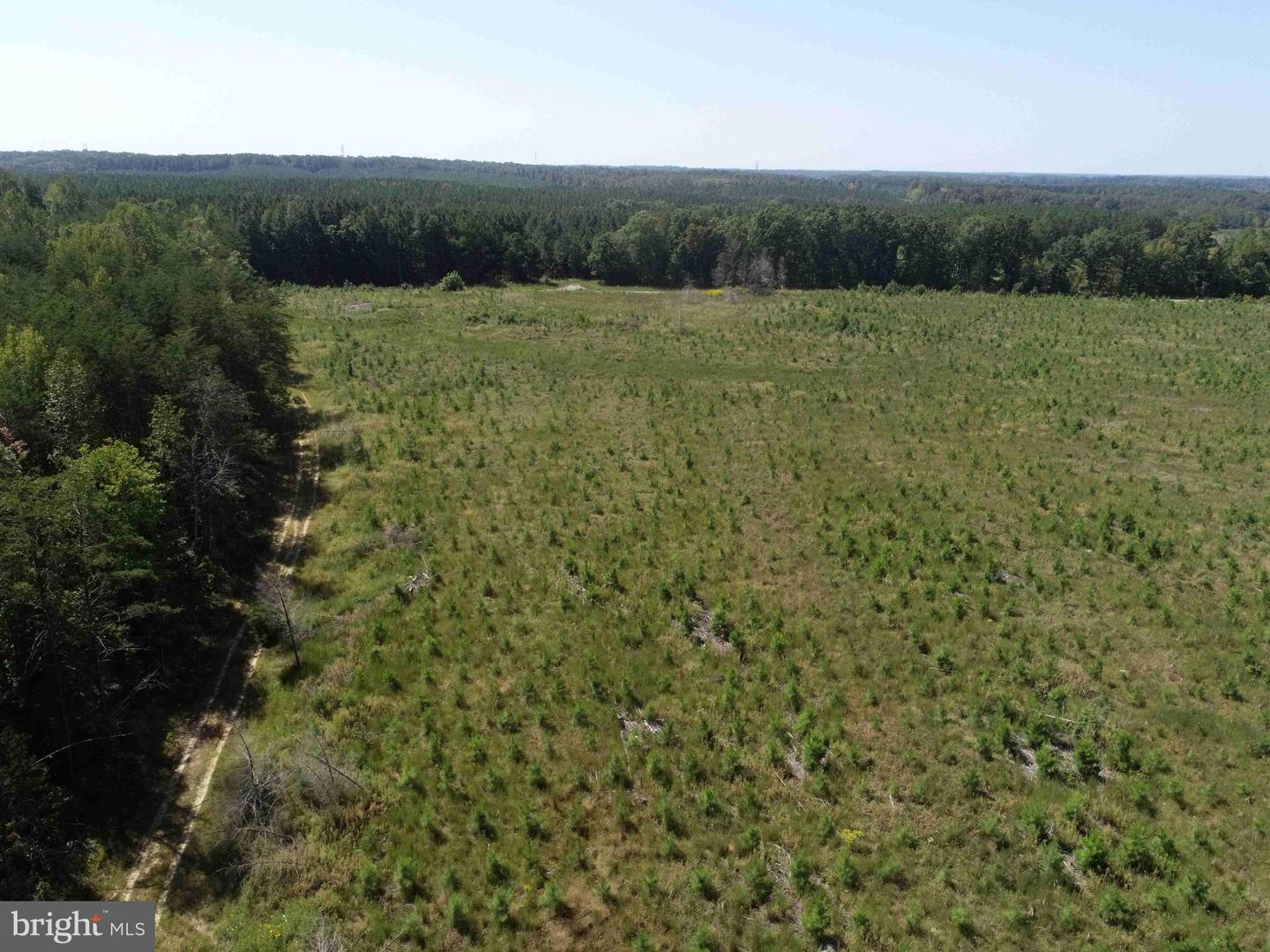 COMMUNITY HOUSE ROAD (TRACT: JR RAGLAND-HOLLAND-2), COLUMBIA, Virginia 23038, ,Farm,For sale,COMMUNITY HOUSE ROAD (TRACT: JR RAGLAND-HOLLAND-2),VAFN2000510 MLS # VAFN2000510 COMMUNITY HOUSE ROAD (TRACT: JR RAGLAND-HOLLAND-2), COLUMBIA, Virginia 23038, ,Farm,For sale,COMMUNITY HOUSE ROAD (TRACT: JR RAGLAND-HOLLAND-2),VAFN2000510 MLS # VAFN2000510