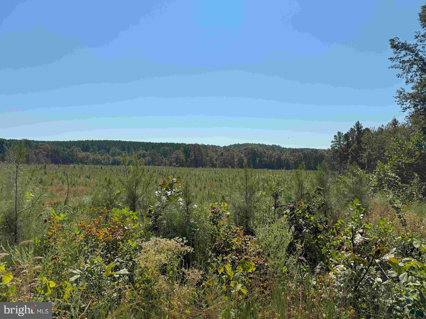 COMMUNITY HOUSE ROAD (TRACT: JR RAGLAND-HOLLAND-2), COLUMBIA, Virginia 23038, ,Farm,For sale,COMMUNITY HOUSE ROAD (TRACT: JR RAGLAND-HOLLAND-2),VAFN2000510 MLS # VAFN2000510 COMMUNITY HOUSE ROAD (TRACT: JR RAGLAND-HOLLAND-2), COLUMBIA, Virginia 23038, ,Farm,For sale,COMMUNITY HOUSE ROAD (TRACT: JR RAGLAND-HOLLAND-2),VAFN2000510 MLS # VAFN2000510