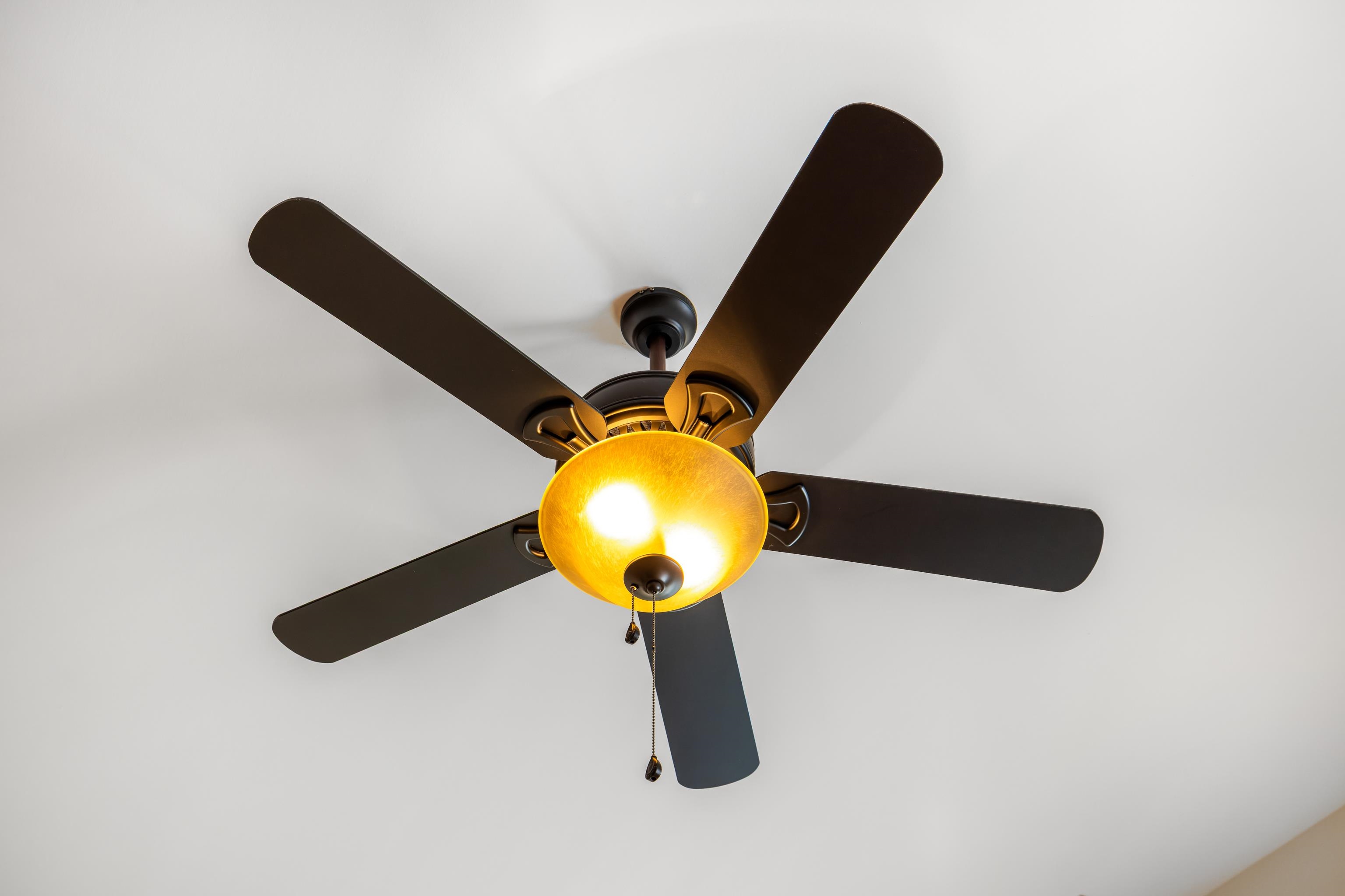 1212 STOCKER ST, STAUNTON, Virginia 24401, 3 Bedrooms Bedrooms, ,2 BathroomsBathrooms,Residential,1212 STOCKER ST,670912 MLS # 670912