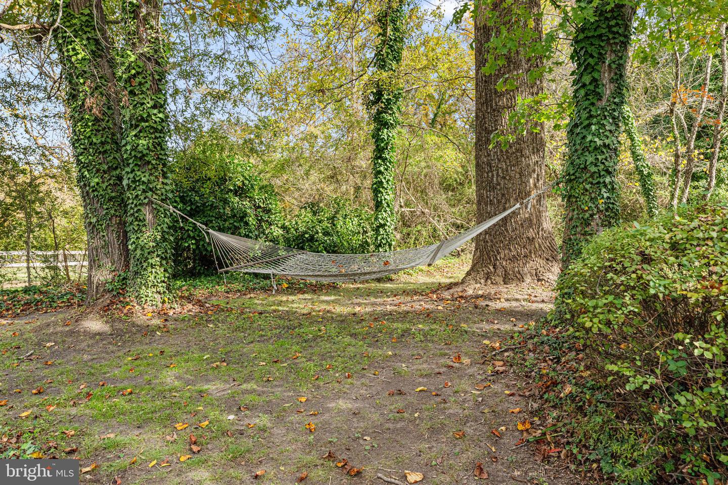 171 BEACH RD, WHITE STONE, Virginia 22578, 3 Bedrooms Bedrooms, 7 Rooms Rooms,2 BathroomsBathrooms,Residential,For sale,171 BEACH RD,VALV2000902 MLS # VALV2000902 171 BEACH RD, WHITE STONE, Virginia 22578, 3 Bedrooms Bedrooms, 7 Rooms Rooms,2 BathroomsBathrooms,Residential,For sale,171 BEACH RD,VALV2000902 MLS # VALV2000902