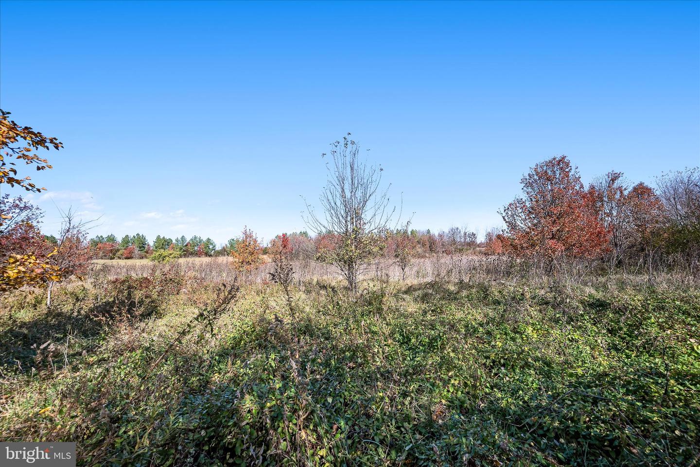 751 - 761 OLD CHARLES TOWN RD, STEPHENSON, Virginia 22656, 4 Bedrooms Bedrooms, ,2 BathroomsBathrooms,Residential,For sale,751 - 761 OLD CHARLES TOWN RD,VAFV2037948 MLS # VAFV2037948