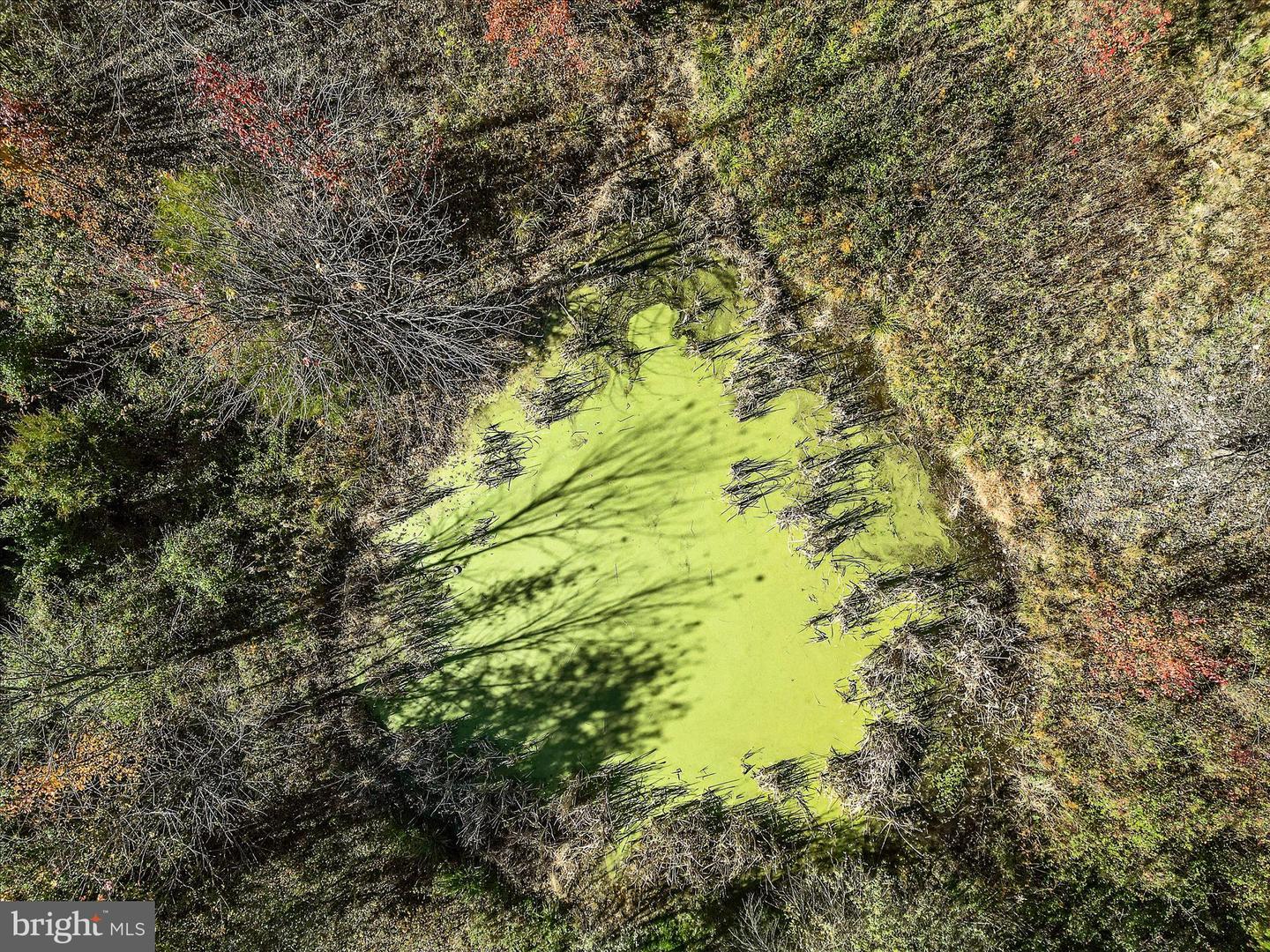 751 - 761 OLD CHARLES TOWN RD, STEPHENSON, Virginia 22656, 4 Bedrooms Bedrooms, ,2 BathroomsBathrooms,Residential,For sale,751 - 761 OLD CHARLES TOWN RD,VAFV2037948 MLS # VAFV2037948