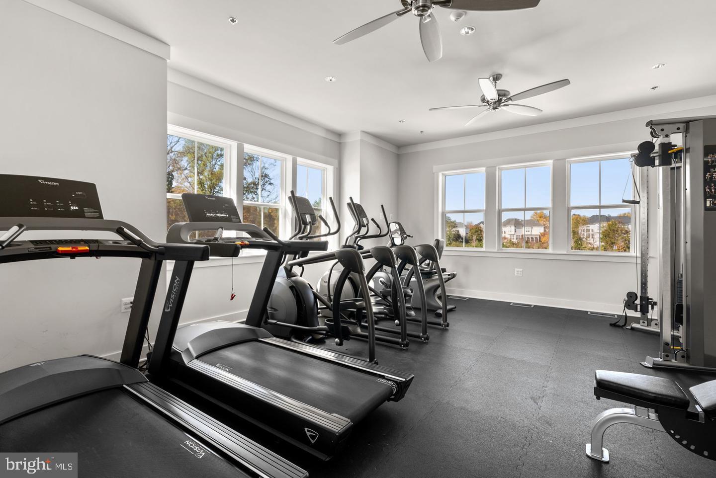 43441 BETTYS FARM DR, CHANTILLY, Virginia 20152, 4 Bedrooms Bedrooms, ,3 BathroomsBathrooms,Residential,For sale,43441 BETTYS FARM DR,VALO2110858 MLS # VALO2110858