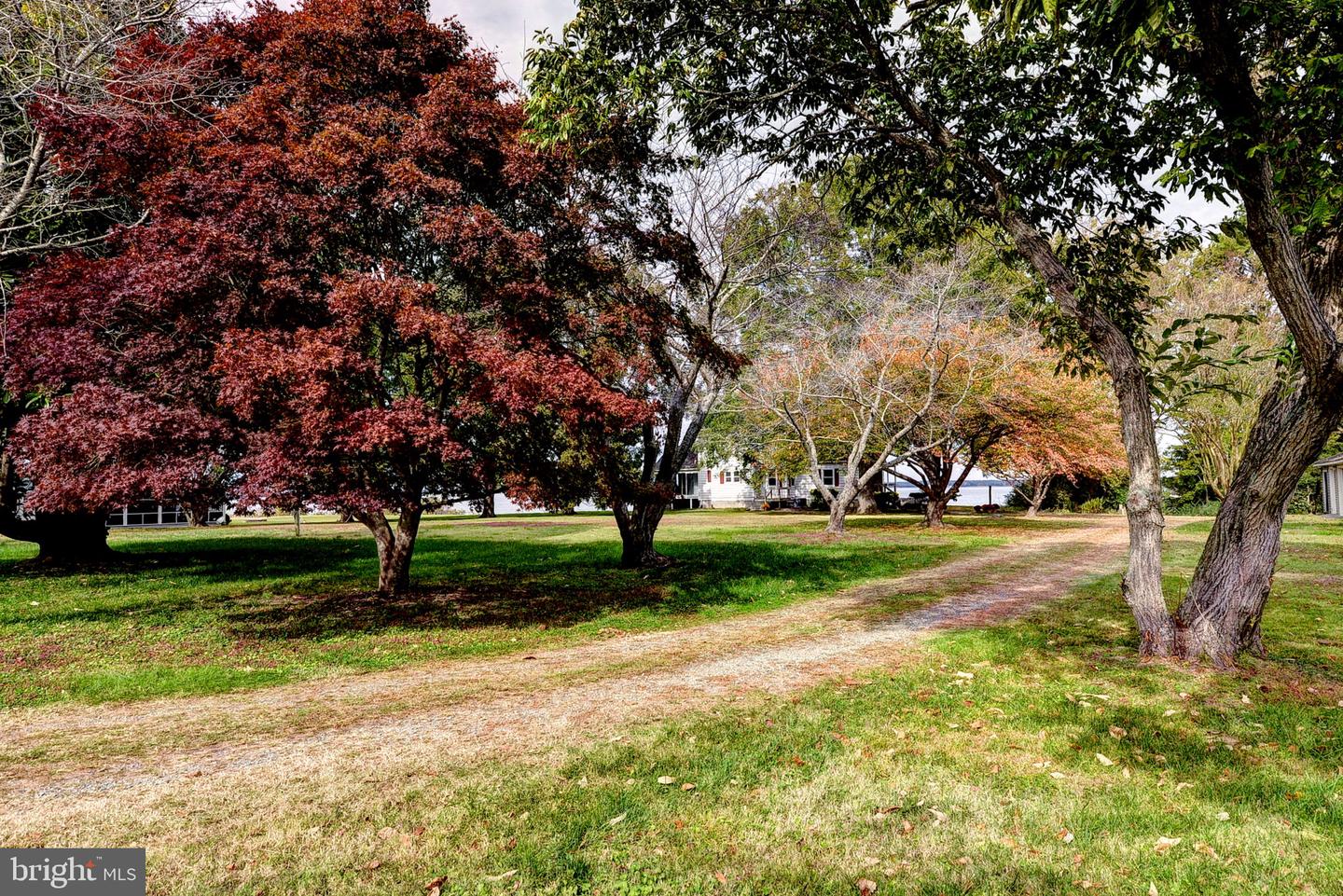 1126 CLOVERDALE RD, LANEVIEW, Virginia 22504, 4 Bedrooms Bedrooms, 8 Rooms Rooms,3 BathroomsBathrooms,Residential,For sale,1126 CLOVERDALE RD,VAES2002086 MLS # VAES2002086 1126 CLOVERDALE RD, LANEVIEW, Virginia 22504, 4 Bedrooms Bedrooms, 8 Rooms Rooms,3 BathroomsBathrooms,Residential,For sale,1126 CLOVERDALE RD,VAES2002086 MLS # VAES2002086