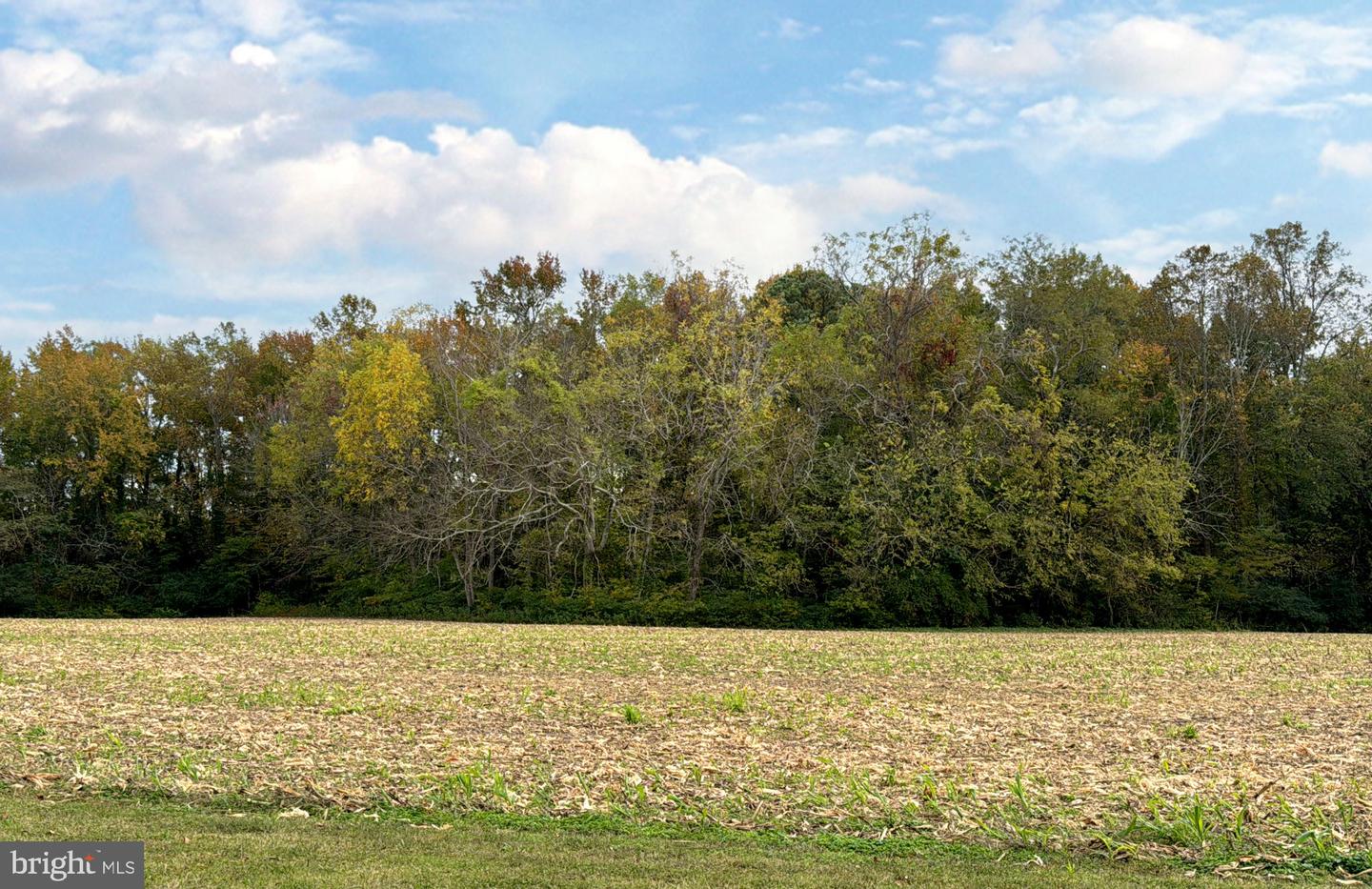 1126 CLOVERDALE RD, LANEVIEW, Virginia 22504, 4 Bedrooms Bedrooms, 8 Rooms Rooms,3 BathroomsBathrooms,Residential,For sale,1126 CLOVERDALE RD,VAES2002086 MLS # VAES2002086 1126 CLOVERDALE RD, LANEVIEW, Virginia 22504, 4 Bedrooms Bedrooms, 8 Rooms Rooms,3 BathroomsBathrooms,Residential,For sale,1126 CLOVERDALE RD,VAES2002086 MLS # VAES2002086