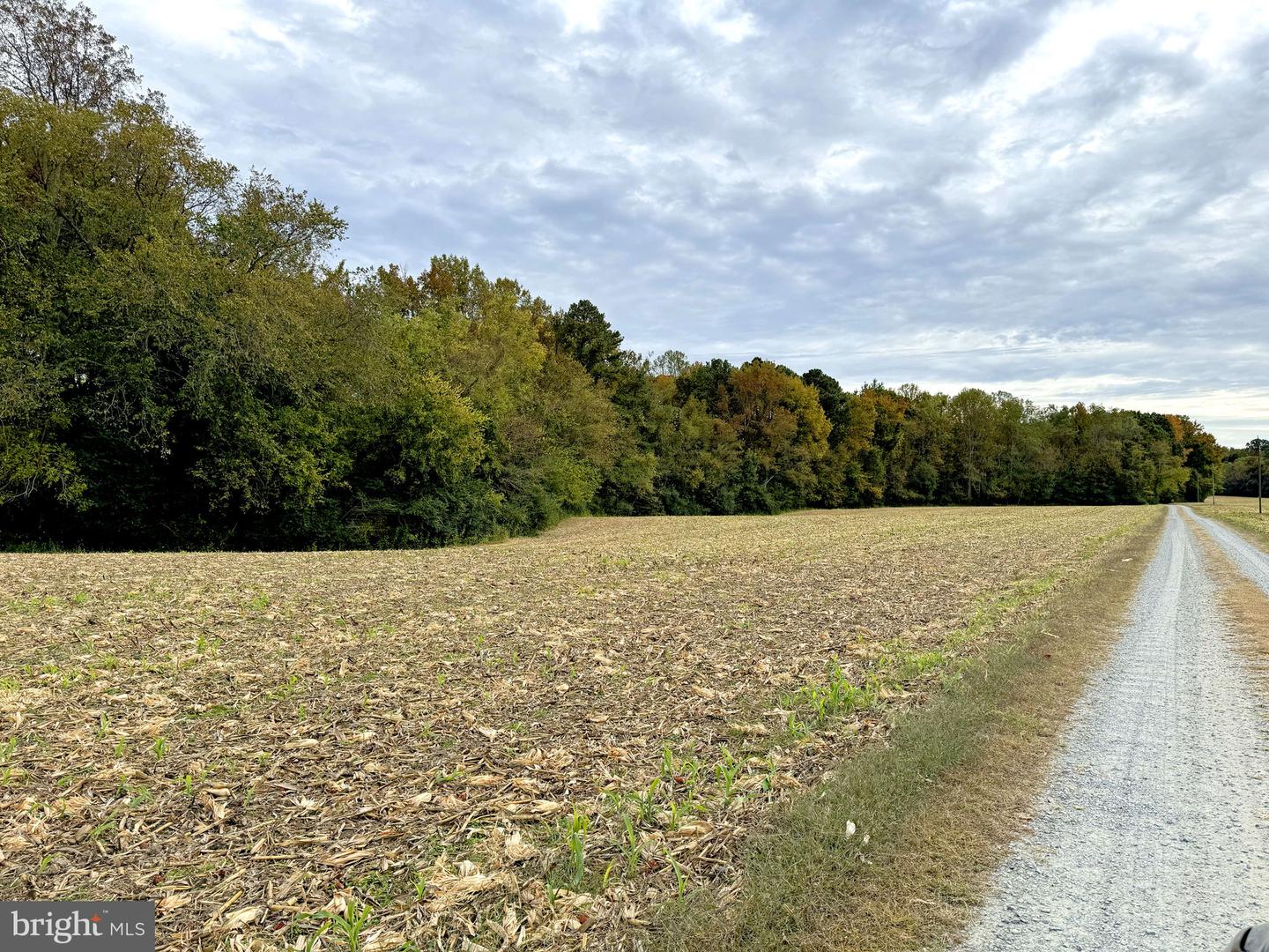 1126 CLOVERDALE RD, LANEVIEW, Virginia 22504, 4 Bedrooms Bedrooms, 8 Rooms Rooms,3 BathroomsBathrooms,Residential,For sale,1126 CLOVERDALE RD,VAES2002086 MLS # VAES2002086 1126 CLOVERDALE RD, LANEVIEW, Virginia 22504, 4 Bedrooms Bedrooms, 8 Rooms Rooms,3 BathroomsBathrooms,Residential,For sale,1126 CLOVERDALE RD,VAES2002086 MLS # VAES2002086