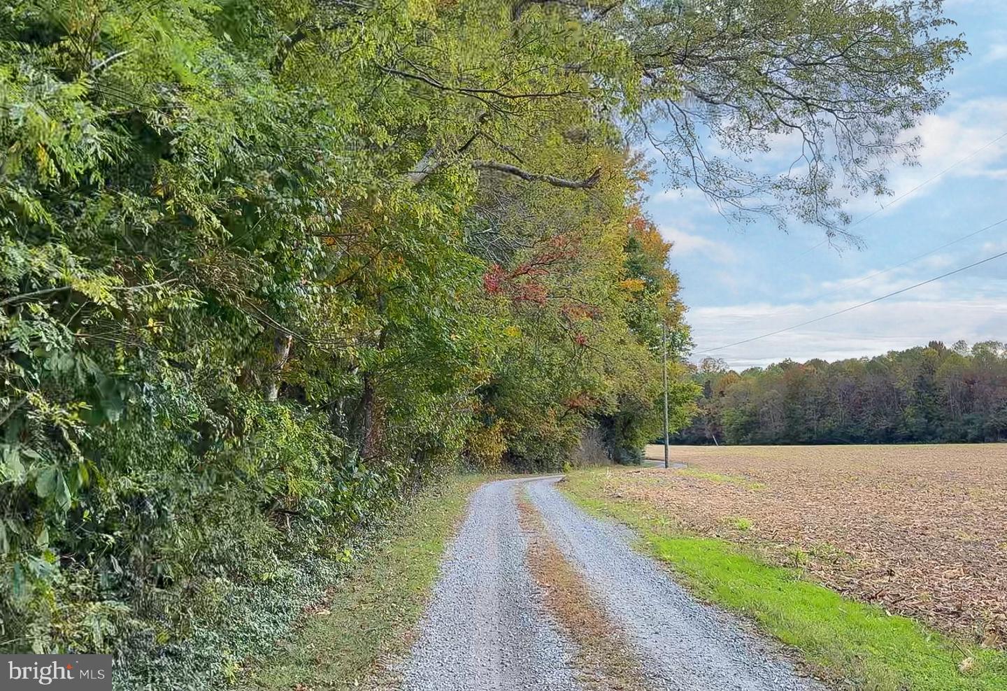 1126 CLOVERDALE RD, LANEVIEW, Virginia 22504, 4 Bedrooms Bedrooms, 8 Rooms Rooms,3 BathroomsBathrooms,Residential,For sale,1126 CLOVERDALE RD,VAES2002086 MLS # VAES2002086 1126 CLOVERDALE RD, LANEVIEW, Virginia 22504, 4 Bedrooms Bedrooms, 8 Rooms Rooms,3 BathroomsBathrooms,Residential,For sale,1126 CLOVERDALE RD,VAES2002086 MLS # VAES2002086