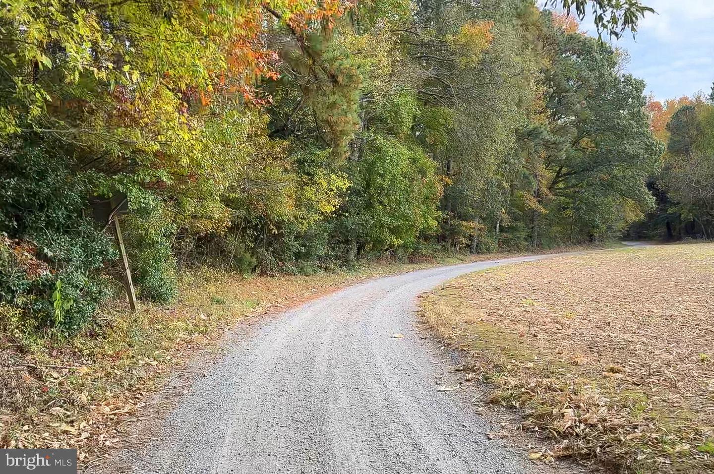 1126 CLOVERDALE RD, LANEVIEW, Virginia 22504, 4 Bedrooms Bedrooms, 8 Rooms Rooms,3 BathroomsBathrooms,Residential,For sale,1126 CLOVERDALE RD,VAES2002086 MLS # VAES2002086 1126 CLOVERDALE RD, LANEVIEW, Virginia 22504, 4 Bedrooms Bedrooms, 8 Rooms Rooms,3 BathroomsBathrooms,Residential,For sale,1126 CLOVERDALE RD,VAES2002086 MLS # VAES2002086