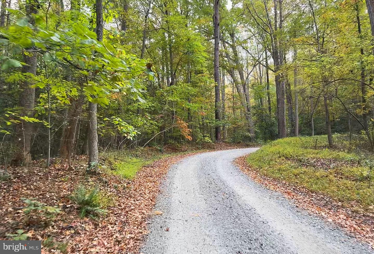 1126 CLOVERDALE RD, LANEVIEW, Virginia 22504, 4 Bedrooms Bedrooms, 8 Rooms Rooms,3 BathroomsBathrooms,Residential,For sale,1126 CLOVERDALE RD,VAES2002086 MLS # VAES2002086 1126 CLOVERDALE RD, LANEVIEW, Virginia 22504, 4 Bedrooms Bedrooms, 8 Rooms Rooms,3 BathroomsBathrooms,Residential,For sale,1126 CLOVERDALE RD,VAES2002086 MLS # VAES2002086