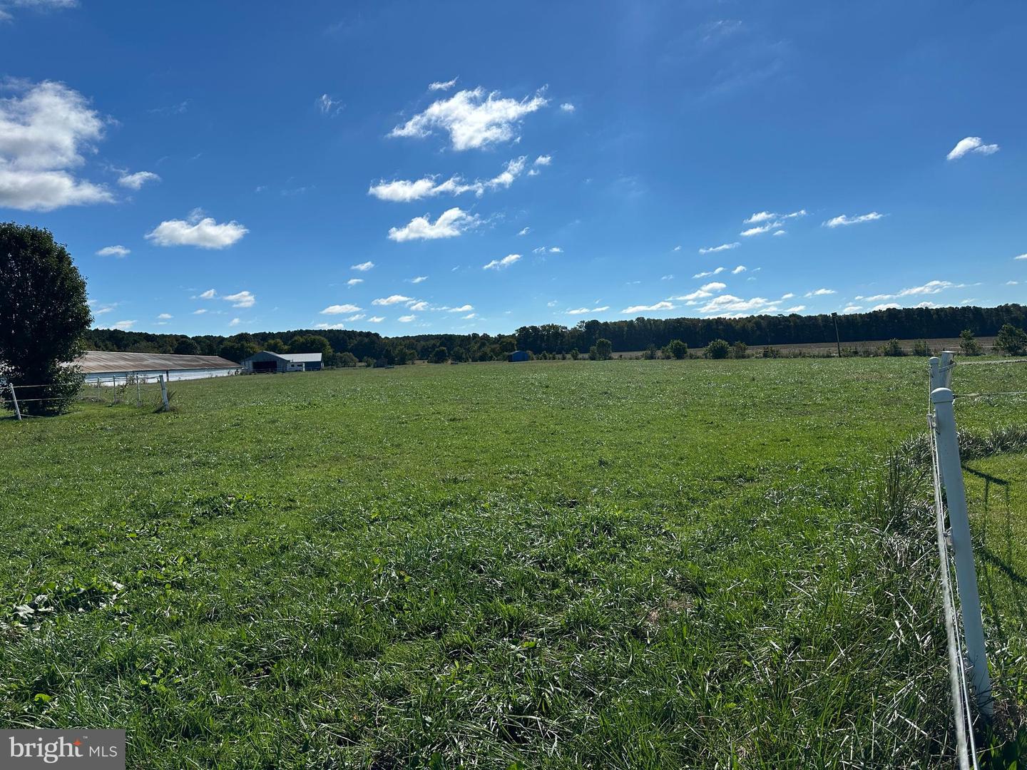 17311 BIG RD, BLOXOM, Virginia 23308, 2 Bedrooms Bedrooms, ,2 BathroomsBathrooms,Farm,For sale,17311 BIG RD,VAAC2002374 MLS # VAAC2002374