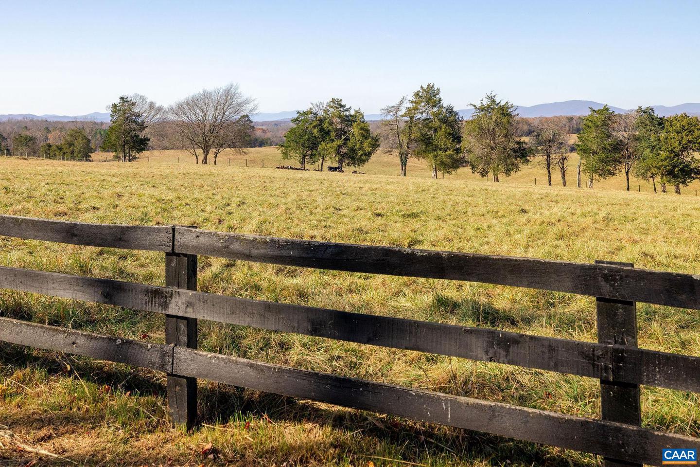 3260 EARLYSVILLE RD, EARLYSVILLE, Virginia 22936, 6 Bedrooms Bedrooms, ,4 BathroomsBathrooms,Farm,For sale,3260 EARLYSVILLE RD,670948 MLS # 670948 3260 EARLYSVILLE RD, EARLYSVILLE, Virginia 22936, 6 Bedrooms Bedrooms, ,4 BathroomsBathrooms,Farm,For sale,3260 EARLYSVILLE RD,670948 MLS # 670948