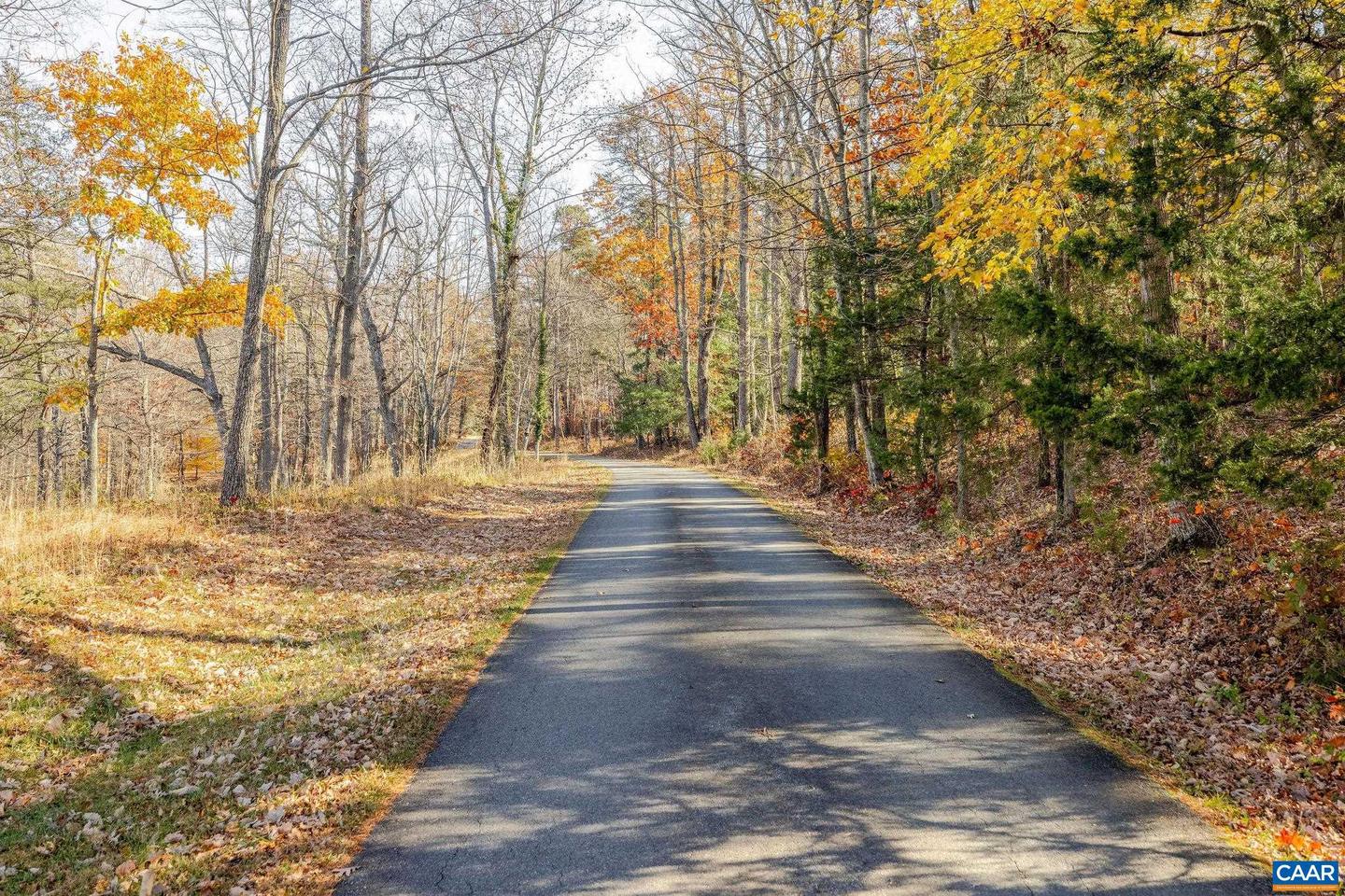 3260 EARLYSVILLE RD, EARLYSVILLE, Virginia 22936, 6 Bedrooms Bedrooms, ,4 BathroomsBathrooms,Farm,For sale,3260 EARLYSVILLE RD,670948 MLS # 670948 3260 EARLYSVILLE RD, EARLYSVILLE, Virginia 22936, 6 Bedrooms Bedrooms, ,4 BathroomsBathrooms,Farm,For sale,3260 EARLYSVILLE RD,670948 MLS # 670948