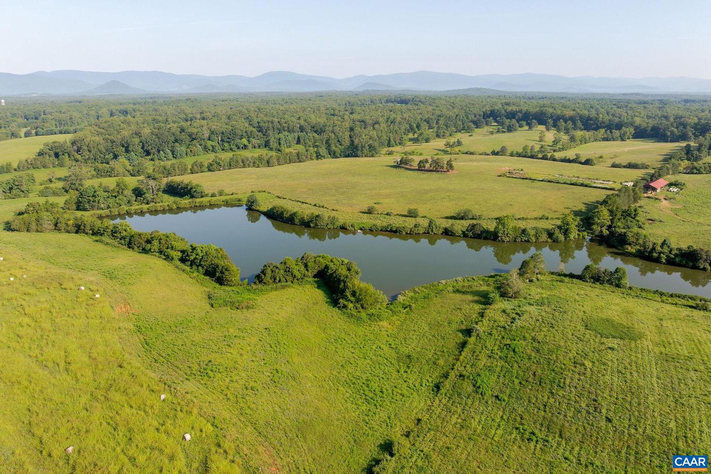 3260 EARLYSVILLE RD, EARLYSVILLE, Virginia 22936, 6 Bedrooms Bedrooms, ,4 BathroomsBathrooms,Farm,For sale,3260 EARLYSVILLE RD,670948 MLS # 670948 3260 EARLYSVILLE RD, EARLYSVILLE, Virginia 22936, 6 Bedrooms Bedrooms, ,4 BathroomsBathrooms,Farm,For sale,3260 EARLYSVILLE RD,670948 MLS # 670948