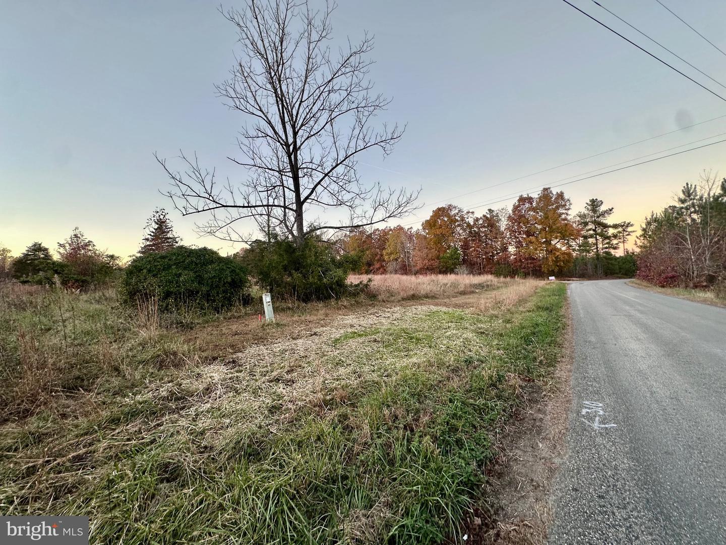 4805 INDIAN CREEK RD, MINERAL, Virginia 23117, ,Land,For sale,4805 INDIAN CREEK RD,VALA2008864 MLS # VALA2008864