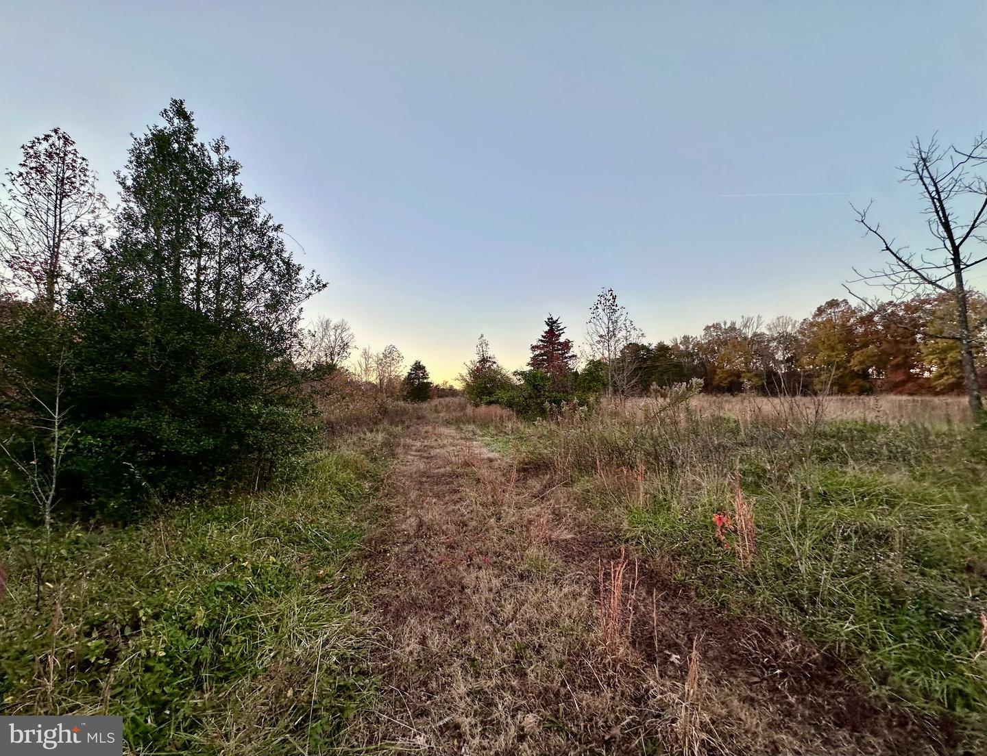 4805 INDIAN CREEK RD, MINERAL, Virginia 23117, ,Land,For sale,4805 INDIAN CREEK RD,VALA2008864 MLS # VALA2008864