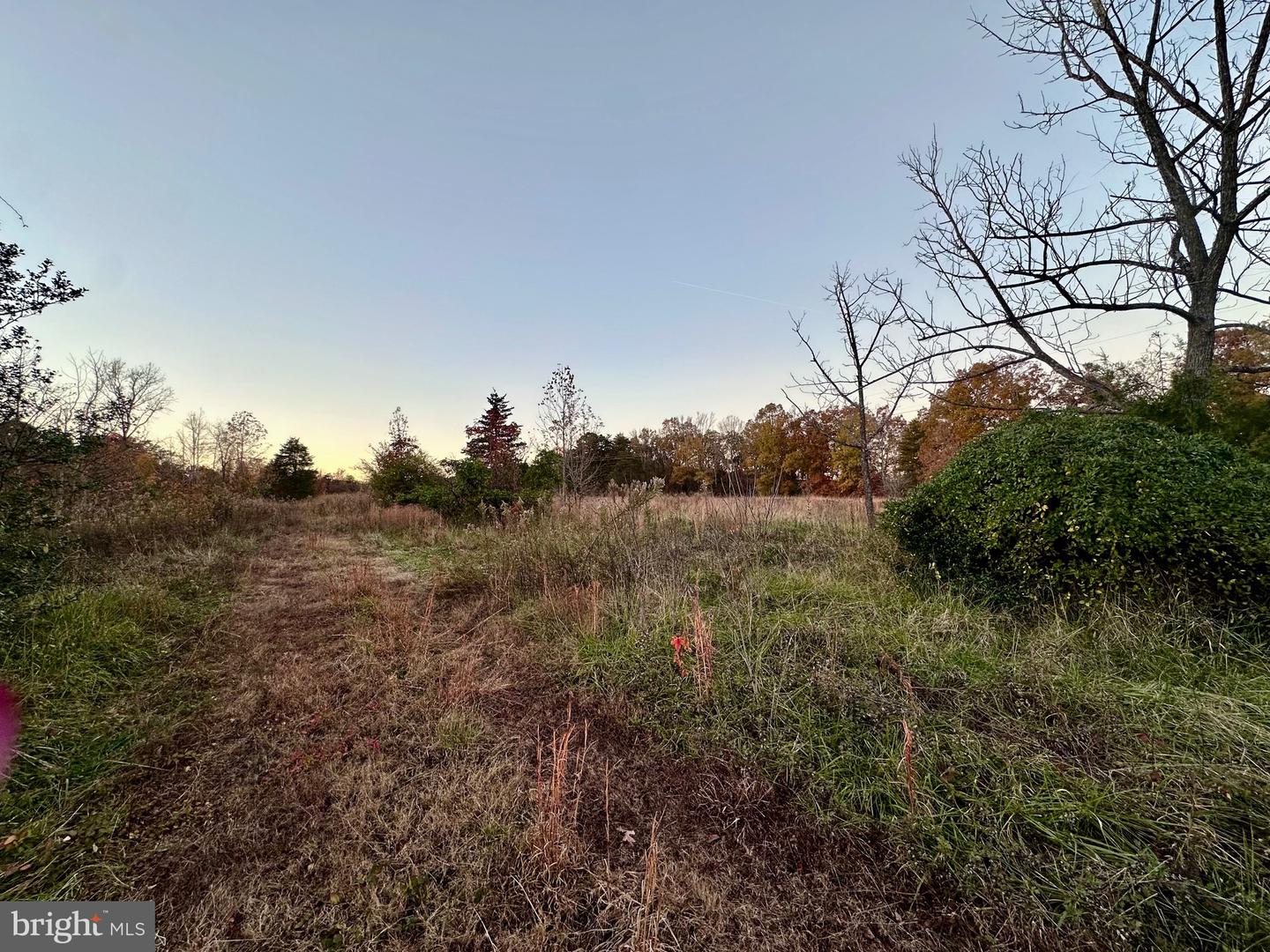 4805 INDIAN CREEK RD, MINERAL, Virginia 23117, ,Land,For sale,4805 INDIAN CREEK RD,VALA2008864 MLS # VALA2008864