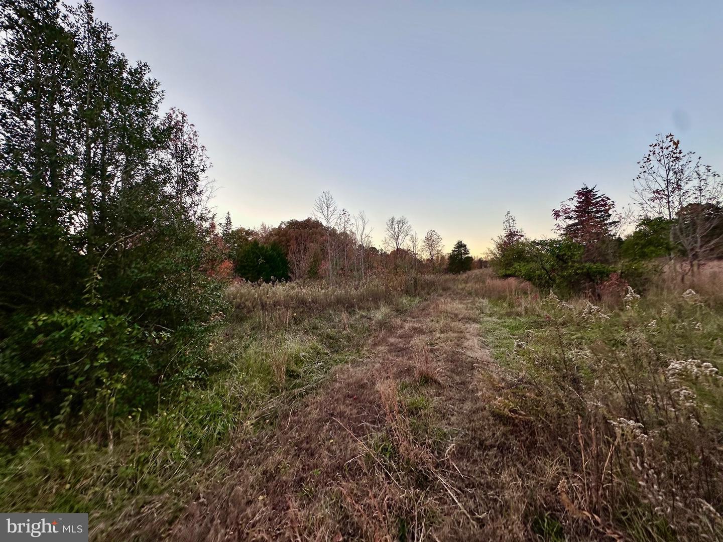 4805 INDIAN CREEK RD, MINERAL, Virginia 23117, ,Land,For sale,4805 INDIAN CREEK RD,VALA2008864 MLS # VALA2008864