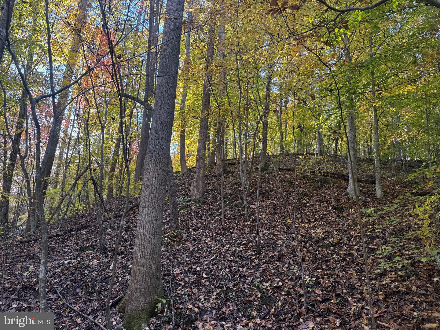 0 HICKORY DR, CONCORD, Virginia 24538, ,Land,For sale,0 HICKORY DR,VACP2000110 MLS # VACP2000110 0 HICKORY DR, CONCORD, Virginia 24538, ,Land,For sale,0 HICKORY DR,VACP2000110 MLS # VACP2000110