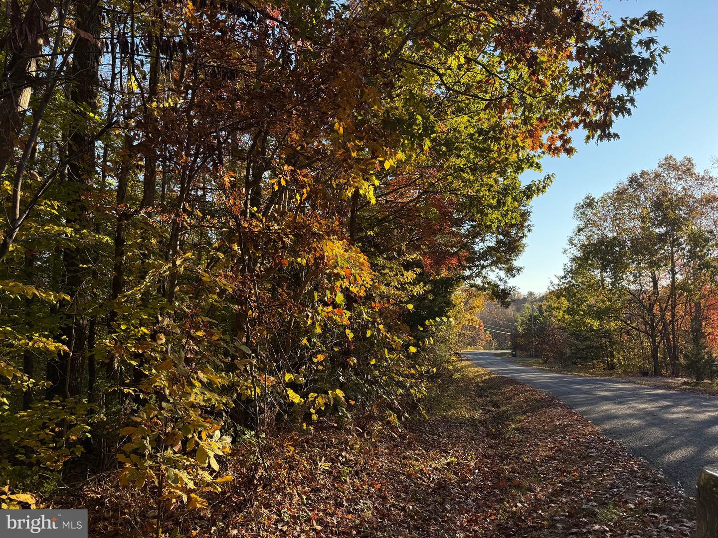 0 HICKORY DR, CONCORD, Virginia 24538, ,Land,For sale,0 HICKORY DR,VACP2000110 MLS # VACP2000110 0 HICKORY DR, CONCORD, Virginia 24538, ,Land,For sale,0 HICKORY DR,VACP2000110 MLS # VACP2000110