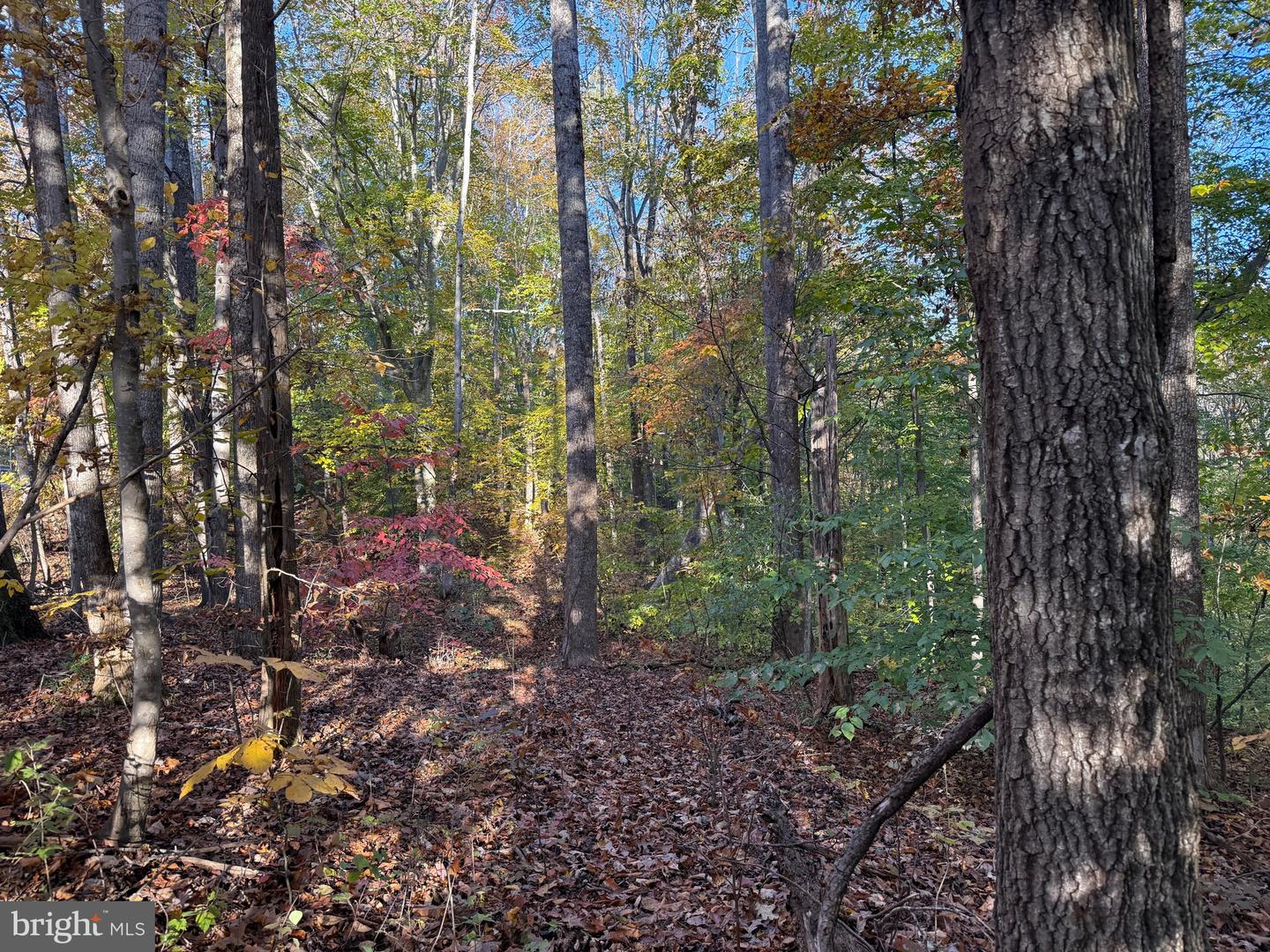 0 HICKORY DR, CONCORD, Virginia 24538, ,Land,For sale,0 HICKORY DR,VACP2000110 MLS # VACP2000110 0 HICKORY DR, CONCORD, Virginia 24538, ,Land,For sale,0 HICKORY DR,VACP2000110 MLS # VACP2000110