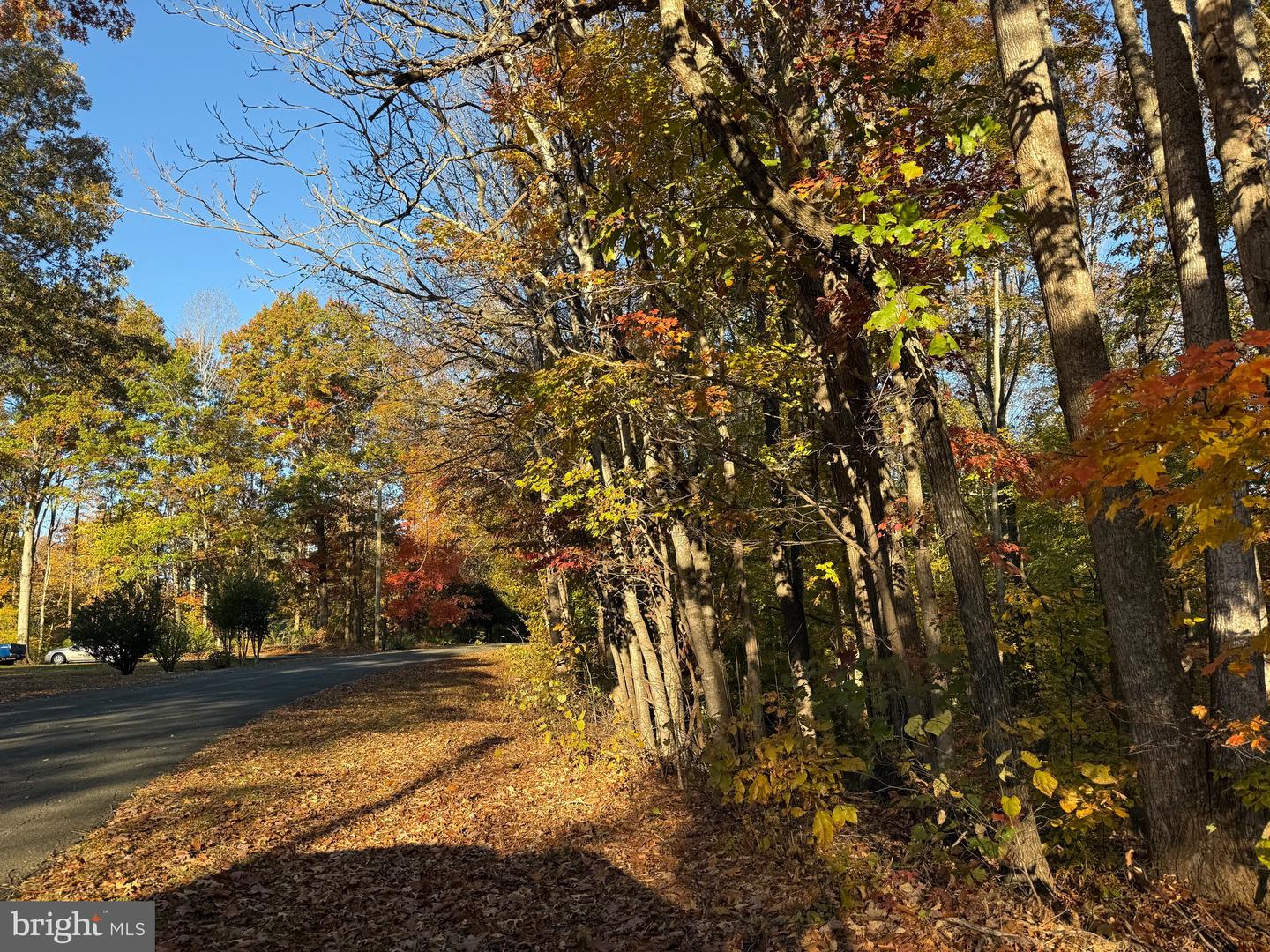 0 HICKORY DR, CONCORD, Virginia 24538, ,Land,For sale,0 HICKORY DR,VACP2000110 MLS # VACP2000110 0 HICKORY DR, CONCORD, Virginia 24538, ,Land,For sale,0 HICKORY DR,VACP2000110 MLS # VACP2000110