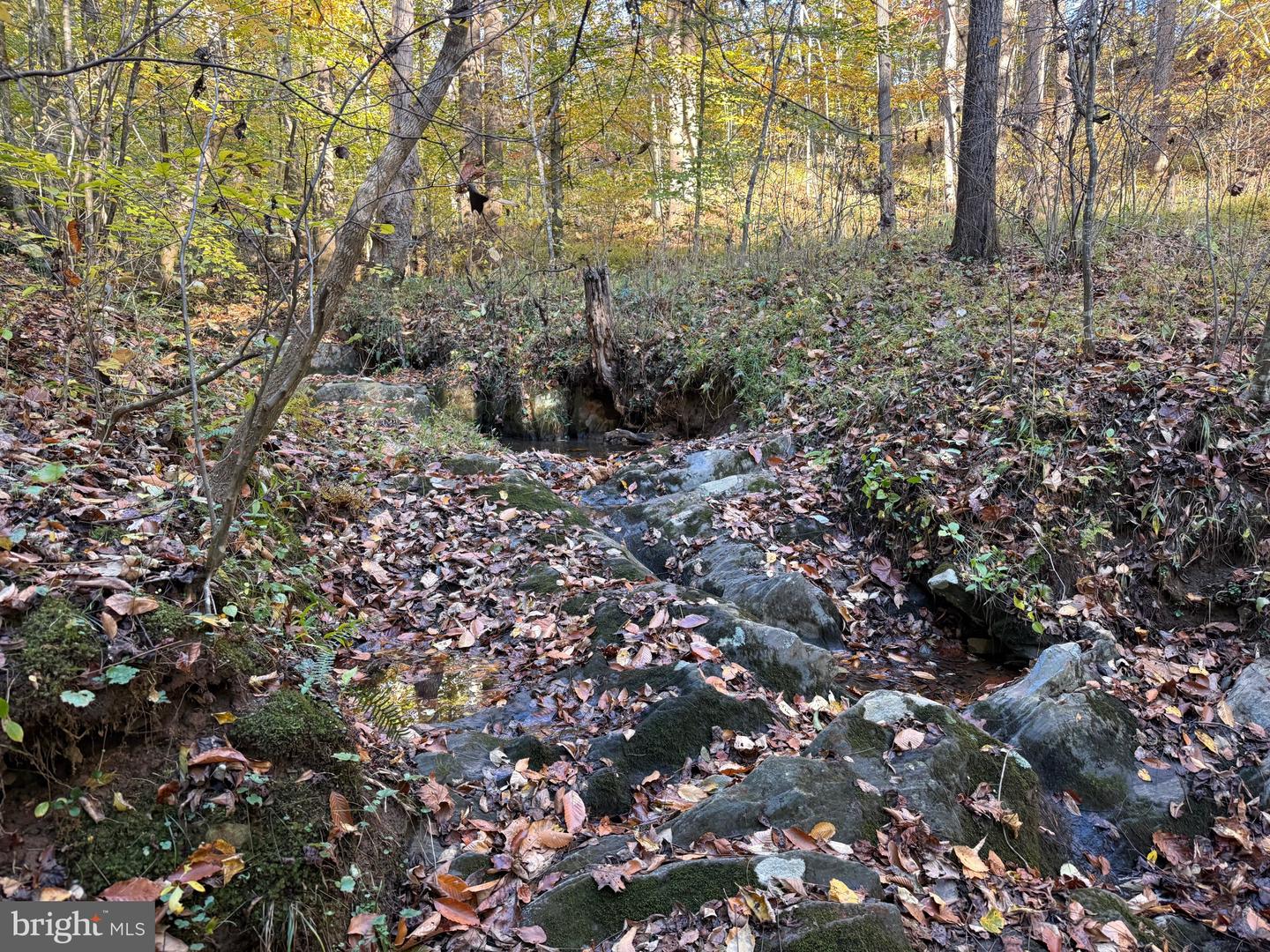 0 HICKORY DR, CONCORD, Virginia 24538, ,Land,For sale,0 HICKORY DR,VACP2000110 MLS # VACP2000110 0 HICKORY DR, CONCORD, Virginia 24538, ,Land,For sale,0 HICKORY DR,VACP2000110 MLS # VACP2000110