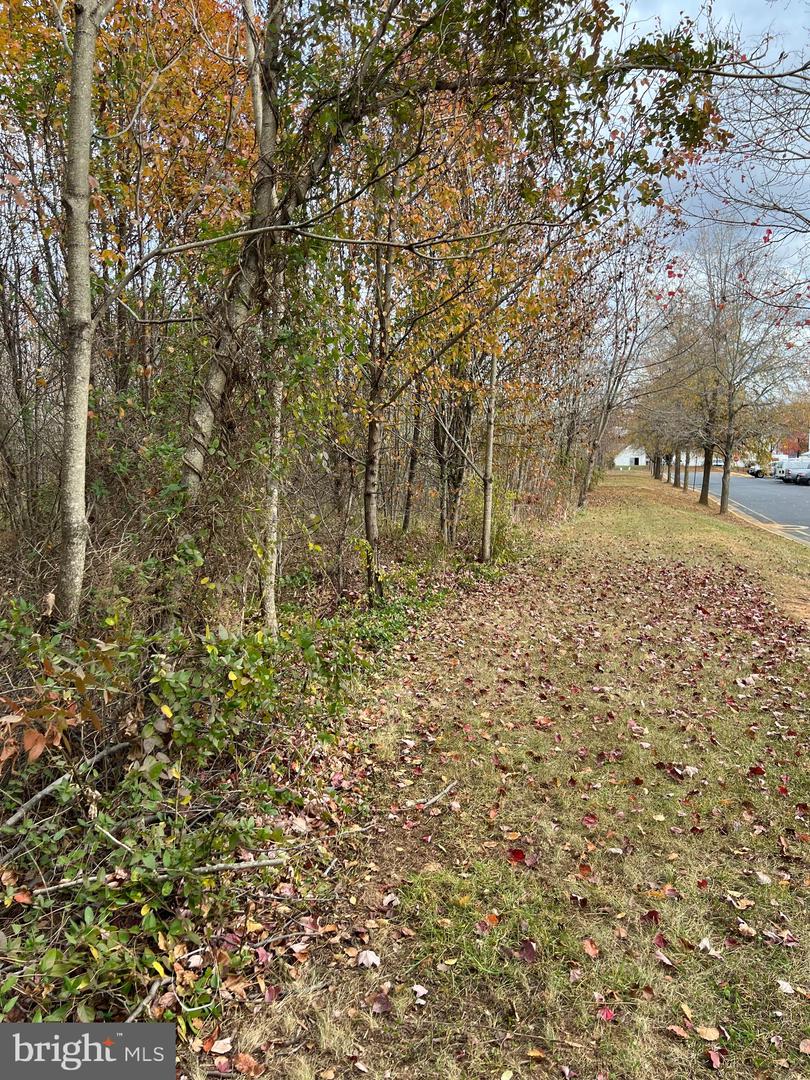 11000 PIERSON DR, FREDERICKSBURG, Virginia 22408, ,Land,For sale,11000 PIERSON DR,VASP2037516 MLS # VASP2037516