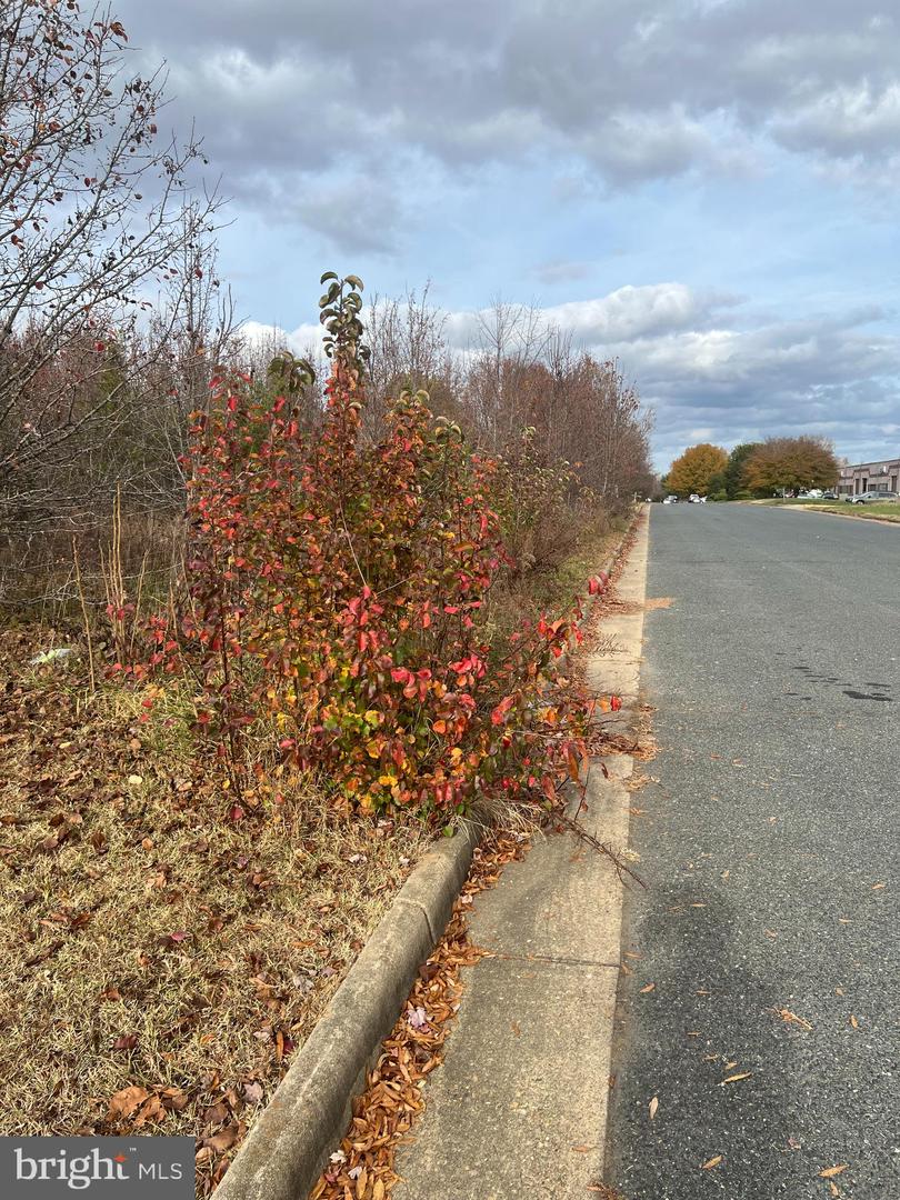 11000 PIERSON DR, FREDERICKSBURG, Virginia 22408, ,Land,For sale,11000 PIERSON DR,VASP2037516 MLS # VASP2037516