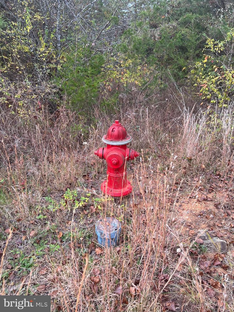 11000 PIERSON DR, FREDERICKSBURG, Virginia 22408, ,Land,For sale,11000 PIERSON DR,VASP2037516 MLS # VASP2037516