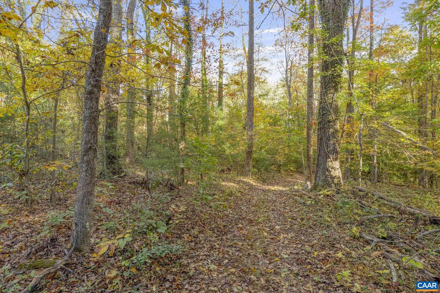 5515 - L GORDONSVILLE RD, KESWICK, Virginia 22947, ,Land,For sale,5515 - L GORDONSVILLE RD,670940 MLS # 670940 5515 - L GORDONSVILLE RD, KESWICK, Virginia 22947, ,Land,For sale,5515 - L GORDONSVILLE RD,670940 MLS # 670940