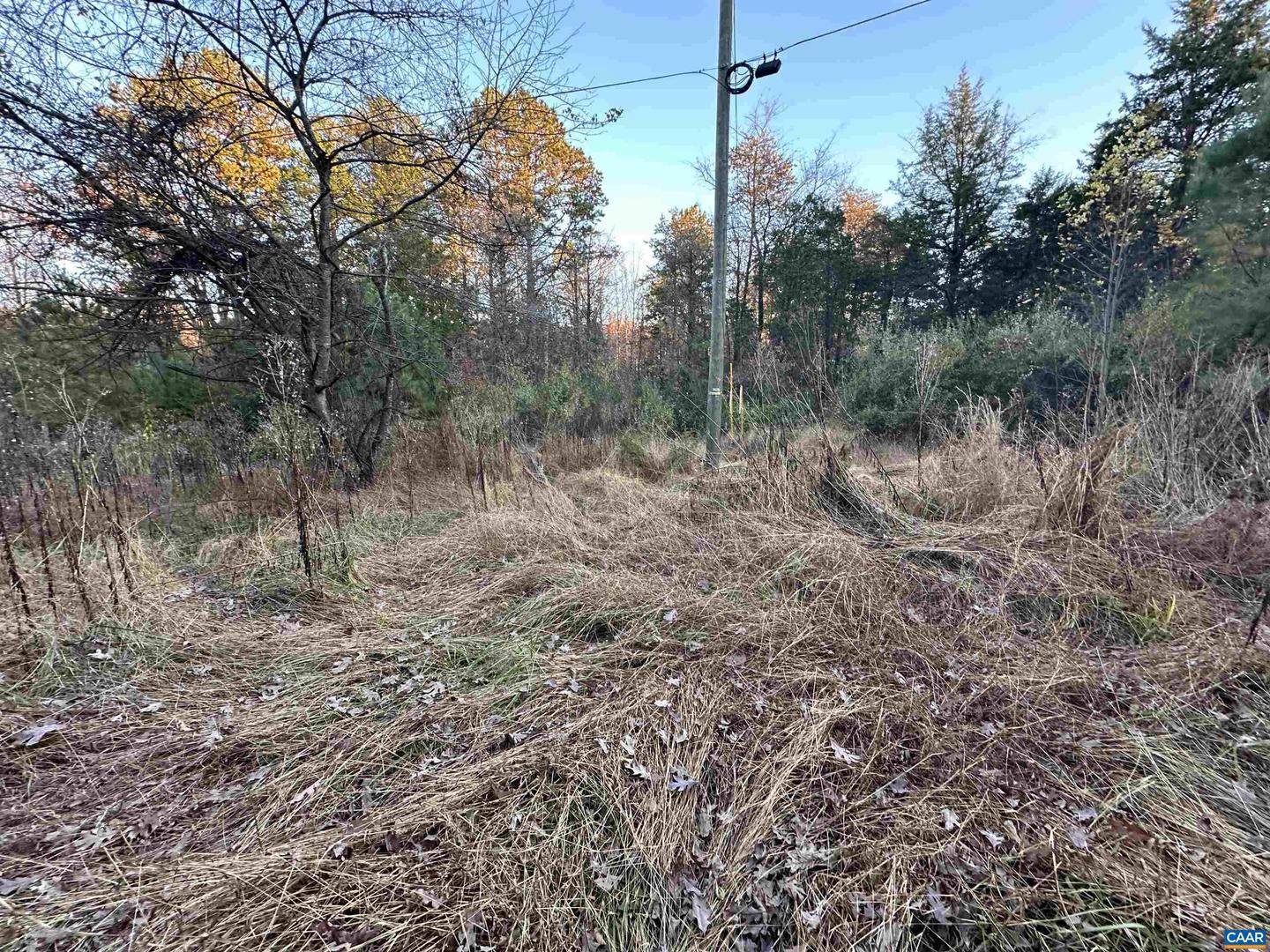 3481 SOLITUDE LN, ESMONT, Virginia 22937, ,Land,For sale,3481 SOLITUDE LN,670954 MLS # 670954 3481 SOLITUDE LN, ESMONT, Virginia 22937, ,Land,For sale,3481 SOLITUDE LN,670954 MLS # 670954