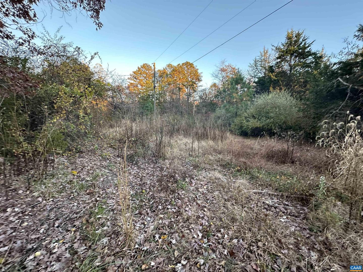 3481 SOLITUDE LN, ESMONT, Virginia 22937, ,Land,For sale,3481 SOLITUDE LN,670954 MLS # 670954 3481 SOLITUDE LN, ESMONT, Virginia 22937, ,Land,For sale,3481 SOLITUDE LN,670954 MLS # 670954