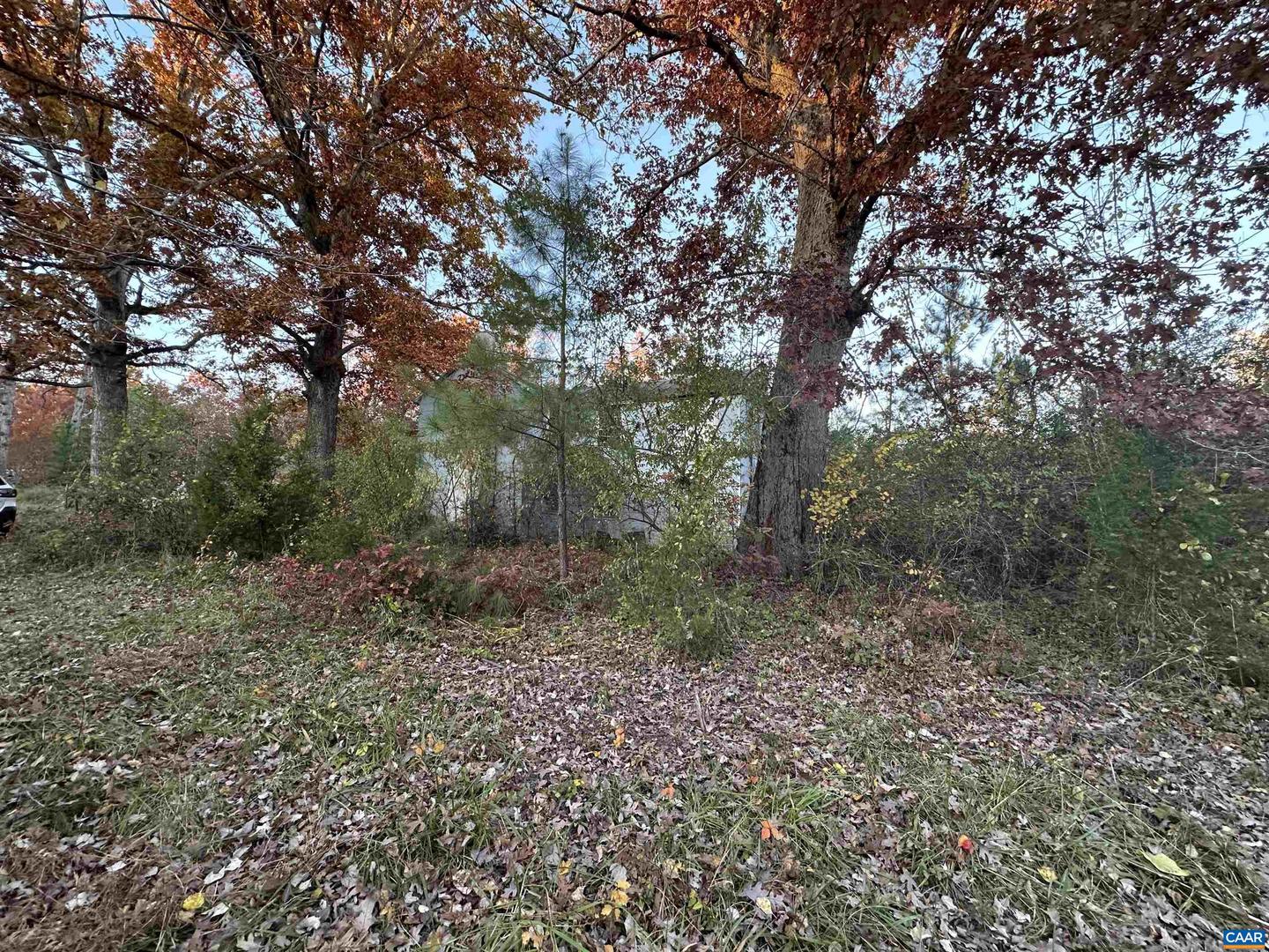 3481 SOLITUDE LN, ESMONT, Virginia 22937, ,Land,For sale,3481 SOLITUDE LN,670954 MLS # 670954 3481 SOLITUDE LN, ESMONT, Virginia 22937, ,Land,For sale,3481 SOLITUDE LN,670954 MLS # 670954