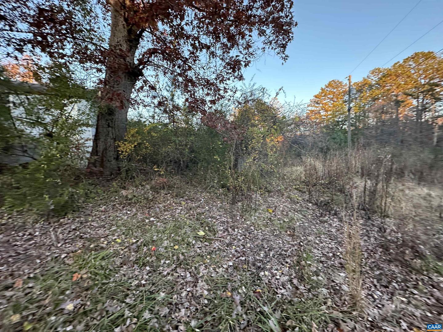3481 SOLITUDE LN, ESMONT, Virginia 22937, ,Land,For sale,3481 SOLITUDE LN,670954 MLS # 670954 3481 SOLITUDE LN, ESMONT, Virginia 22937, ,Land,For sale,3481 SOLITUDE LN,670954 MLS # 670954