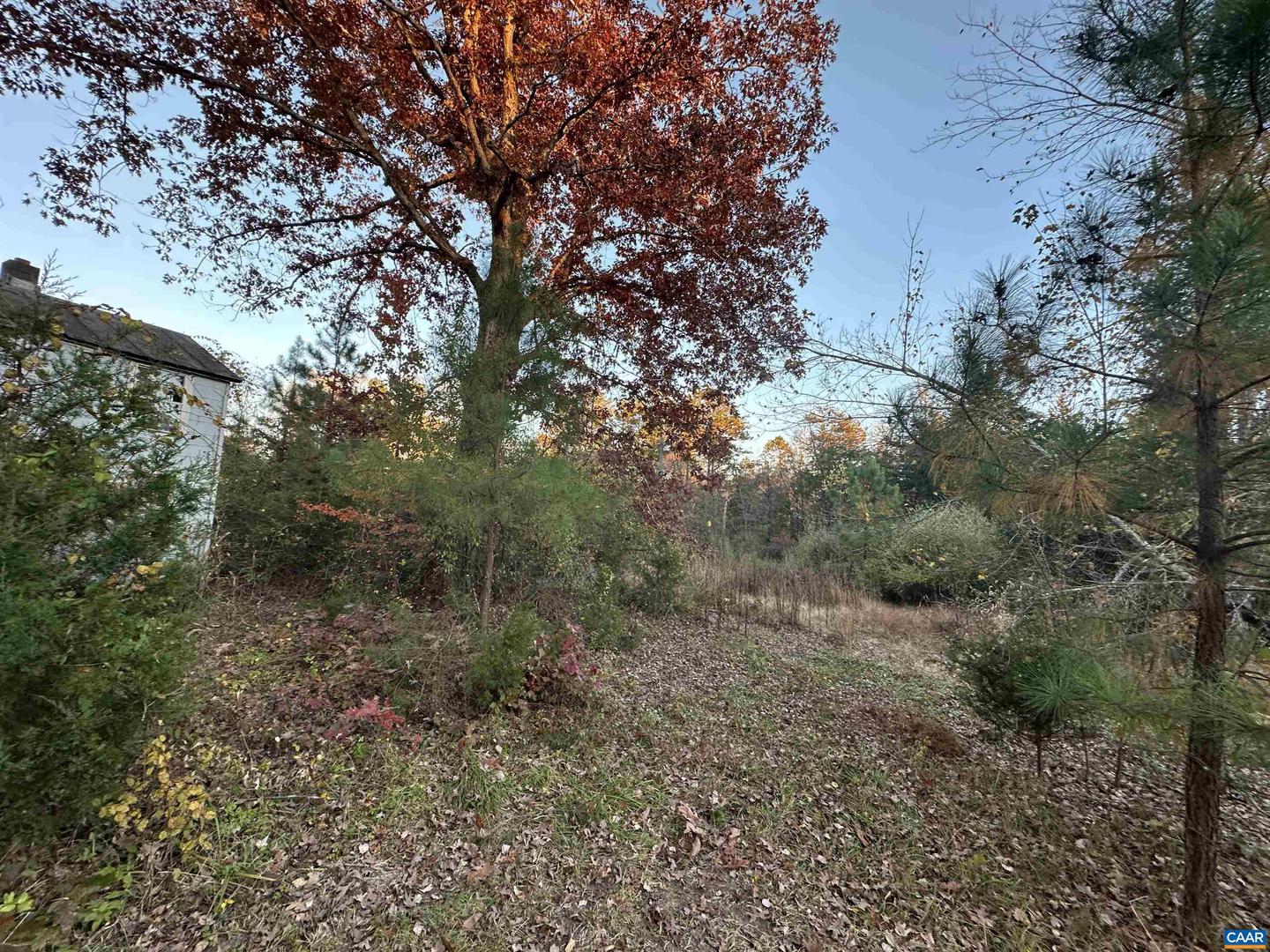 3481 SOLITUDE LN, ESMONT, Virginia 22937, ,Land,For sale,3481 SOLITUDE LN,670954 MLS # 670954 3481 SOLITUDE LN, ESMONT, Virginia 22937, ,Land,For sale,3481 SOLITUDE LN,670954 MLS # 670954