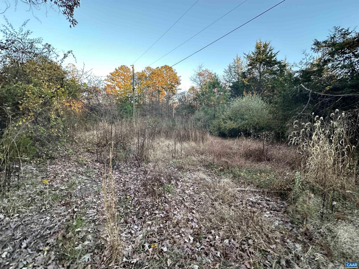 3481 SOLITUDE LN, ESMONT, Virginia 22937, ,Land,For sale,3481 SOLITUDE LN,670954 MLS # 670954 3481 SOLITUDE LN, ESMONT, Virginia 22937, ,Land,For sale,3481 SOLITUDE LN,670954 MLS # 670954