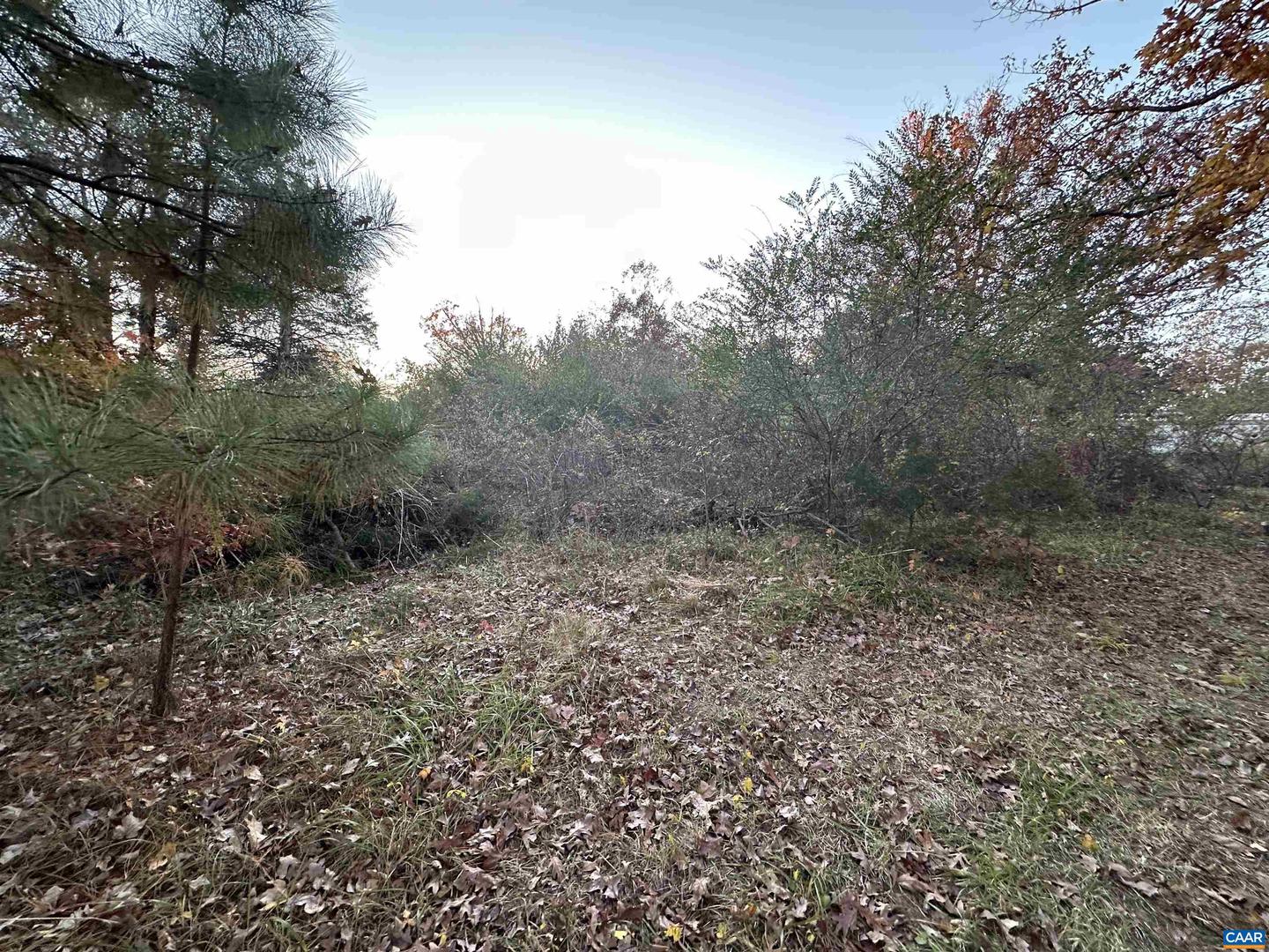 3481 SOLITUDE LN, ESMONT, Virginia 22937, ,Land,For sale,3481 SOLITUDE LN,670954 MLS # 670954 3481 SOLITUDE LN, ESMONT, Virginia 22937, ,Land,For sale,3481 SOLITUDE LN,670954 MLS # 670954