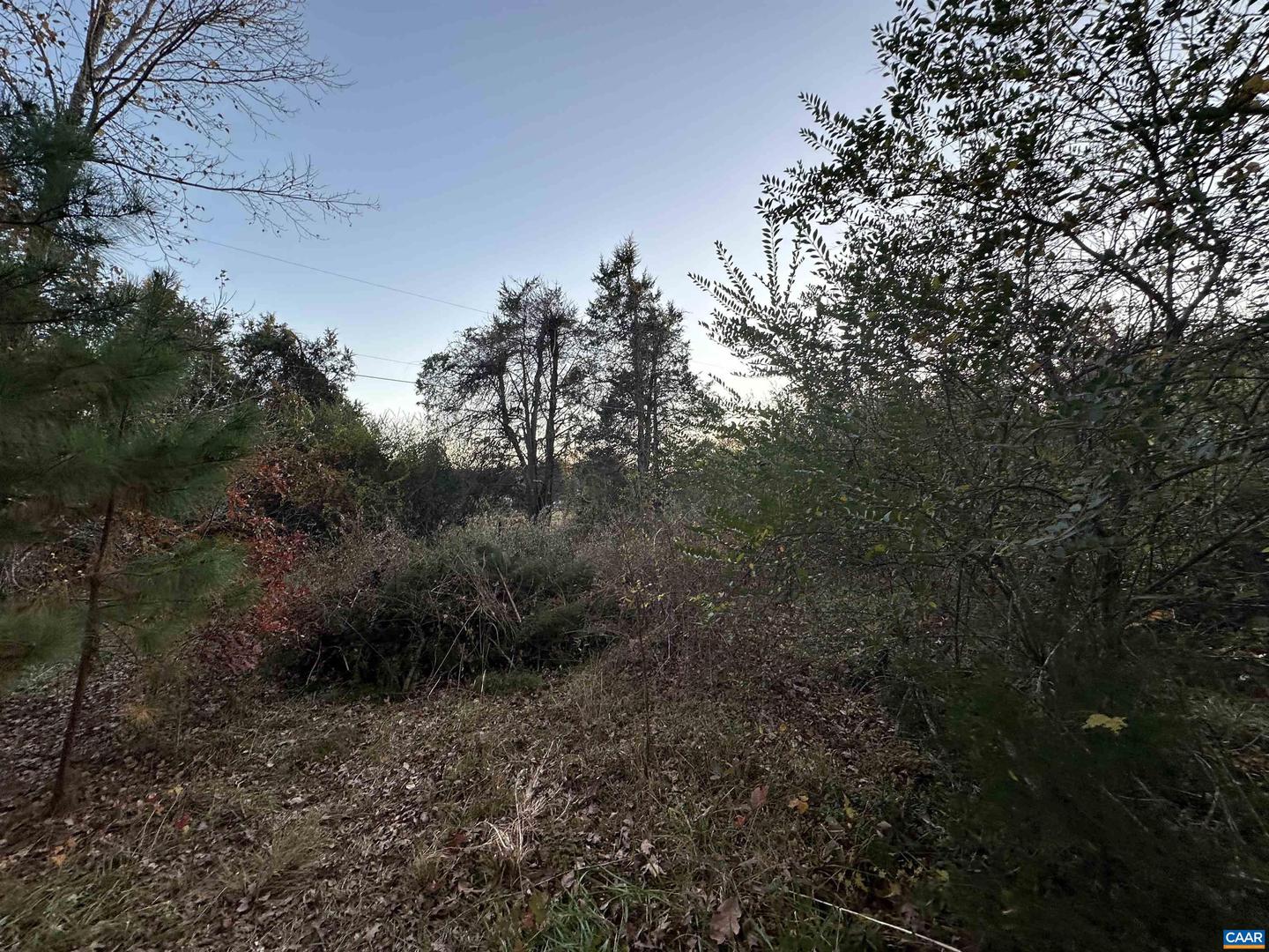 3481 SOLITUDE LN, ESMONT, Virginia 22937, ,Land,For sale,3481 SOLITUDE LN,670954 MLS # 670954 3481 SOLITUDE LN, ESMONT, Virginia 22937, ,Land,For sale,3481 SOLITUDE LN,670954 MLS # 670954