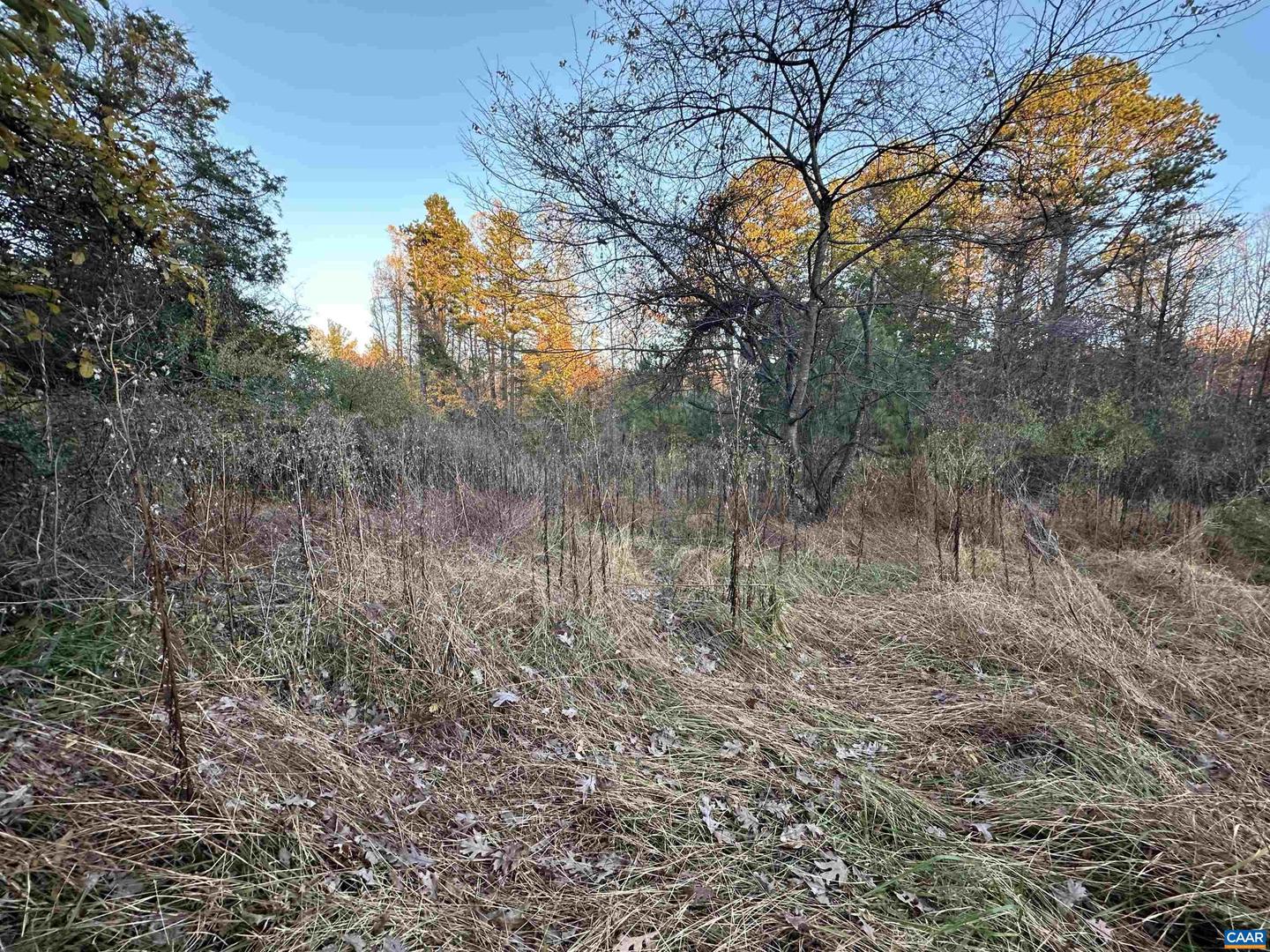 3481 SOLITUDE LN, ESMONT, Virginia 22937, ,Land,For sale,3481 SOLITUDE LN,670954 MLS # 670954 3481 SOLITUDE LN, ESMONT, Virginia 22937, ,Land,For sale,3481 SOLITUDE LN,670954 MLS # 670954