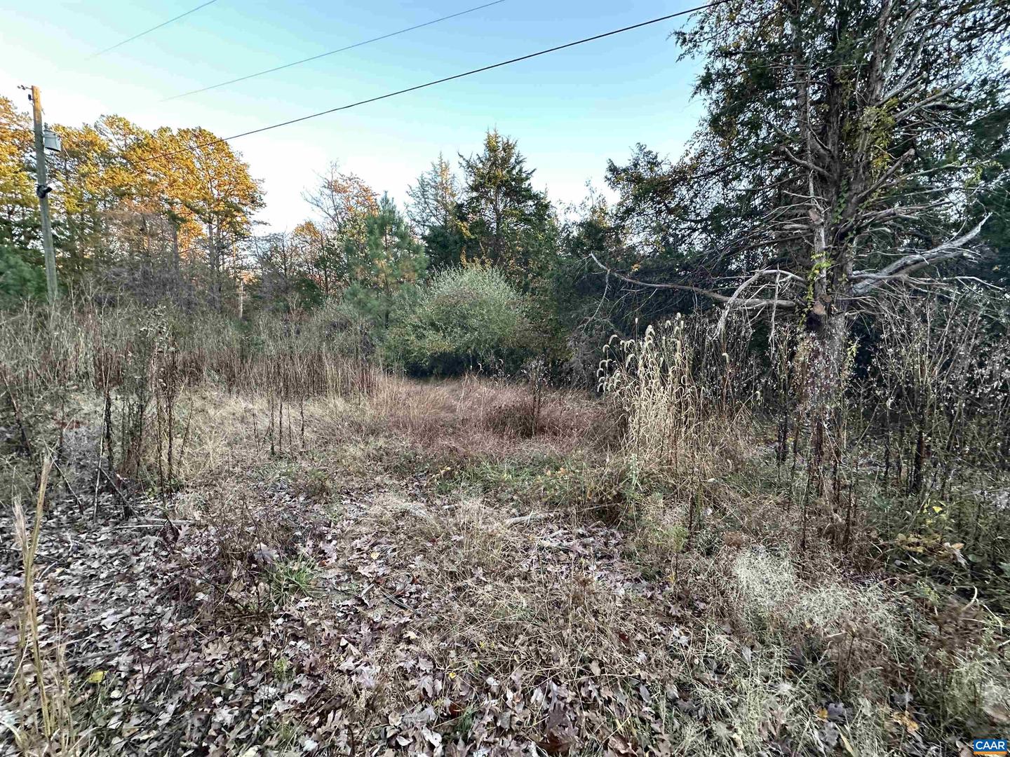3481 SOLITUDE LN, ESMONT, Virginia 22937, ,Land,For sale,3481 SOLITUDE LN,670954 MLS # 670954 3481 SOLITUDE LN, ESMONT, Virginia 22937, ,Land,For sale,3481 SOLITUDE LN,670954 MLS # 670954