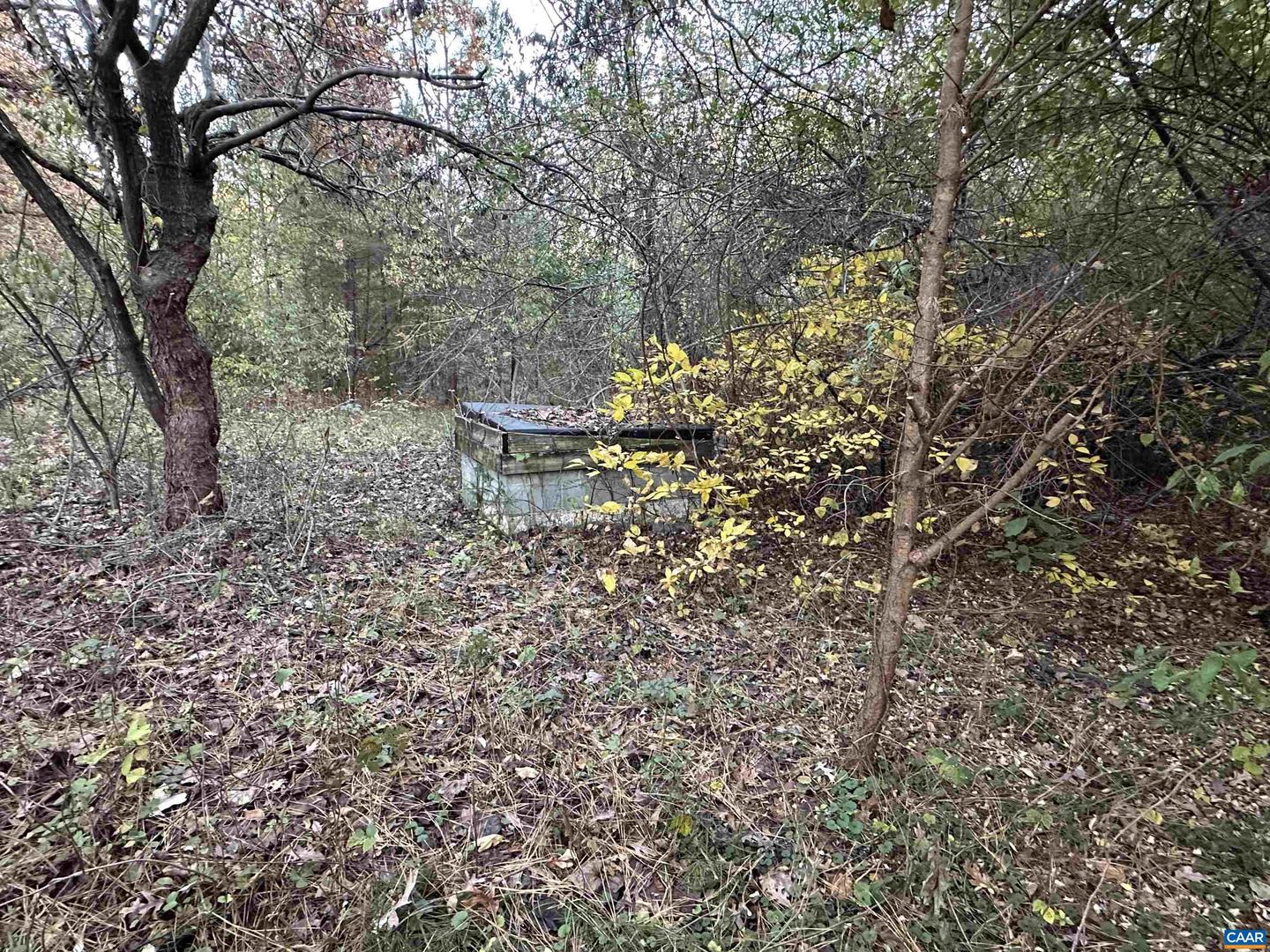 3481 SOLITUDE LN, ESMONT, Virginia 22937, ,Land,For sale,3481 SOLITUDE LN,670954 MLS # 670954 3481 SOLITUDE LN, ESMONT, Virginia 22937, ,Land,For sale,3481 SOLITUDE LN,670954 MLS # 670954