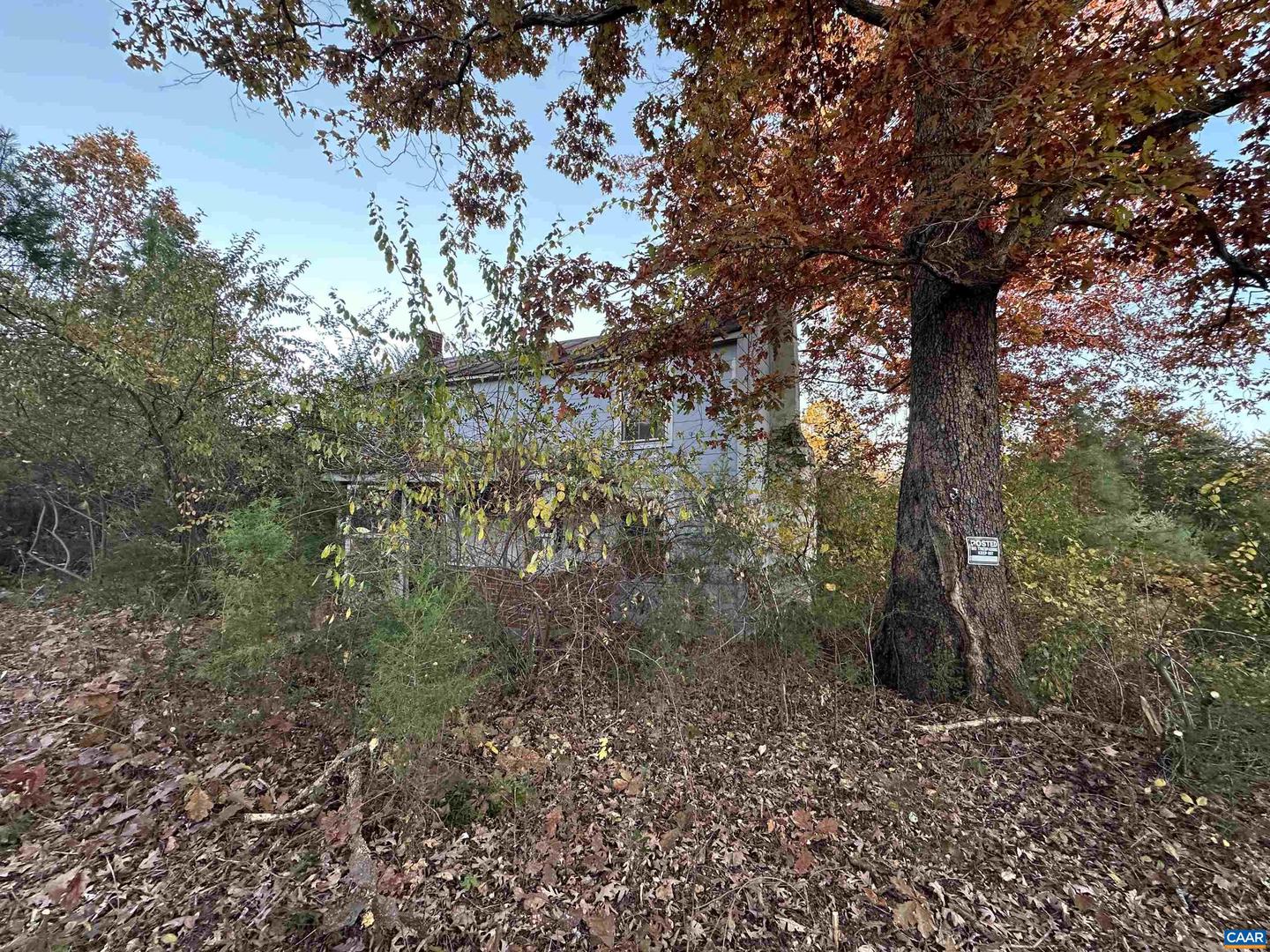 3481 SOLITUDE LN, ESMONT, Virginia 22937, ,Land,For sale,3481 SOLITUDE LN,670954 MLS # 670954 3481 SOLITUDE LN, ESMONT, Virginia 22937, ,Land,For sale,3481 SOLITUDE LN,670954 MLS # 670954