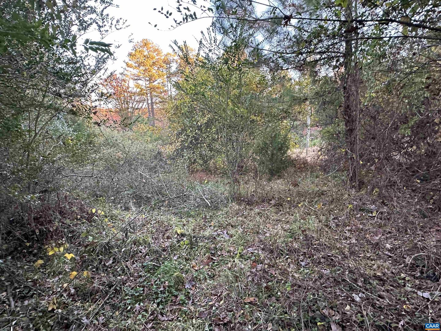 3481 SOLITUDE LN, ESMONT, Virginia 22937, ,Land,For sale,3481 SOLITUDE LN,670954 MLS # 670954 3481 SOLITUDE LN, ESMONT, Virginia 22937, ,Land,For sale,3481 SOLITUDE LN,670954 MLS # 670954