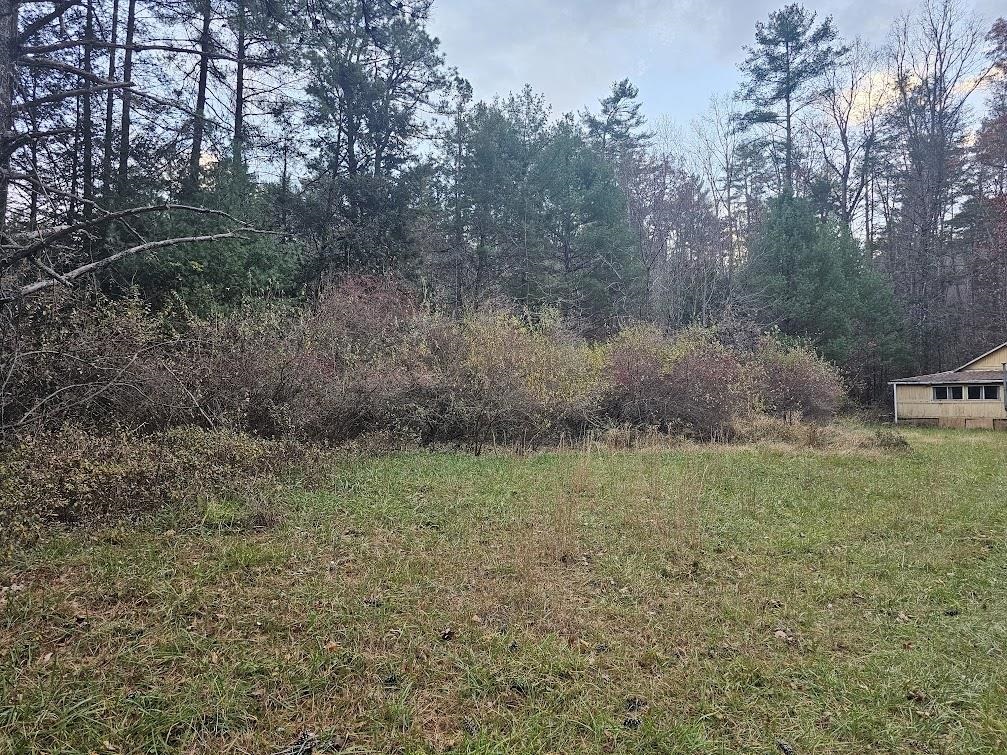 2804 OLD PARKERSBURG TPKE, WEST AUGUSTA, Virginia 24485, 2 Bedrooms Bedrooms, ,1 BathroomBathrooms,Residential,Hanger Camp,2804 OLD PARKERSBURG TPKE,670950 MLS # 670950