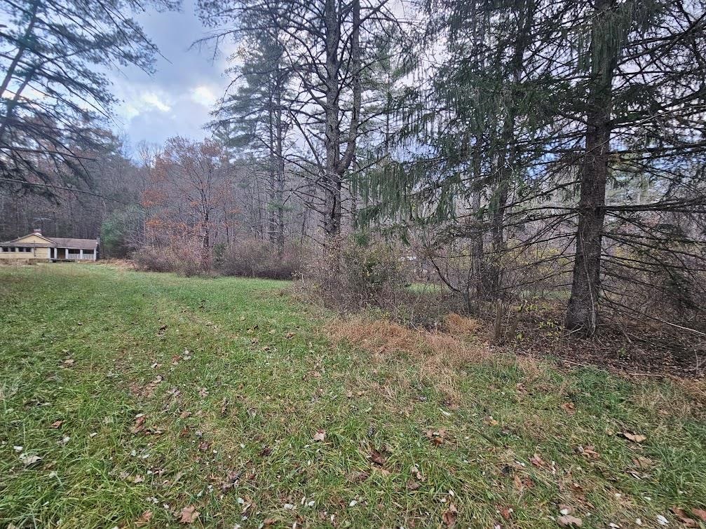 2804 OLD PARKERSBURG TPKE, WEST AUGUSTA, Virginia 24485, 2 Bedrooms Bedrooms, ,1 BathroomBathrooms,Residential,Hanger Camp,2804 OLD PARKERSBURG TPKE,670950 MLS # 670950