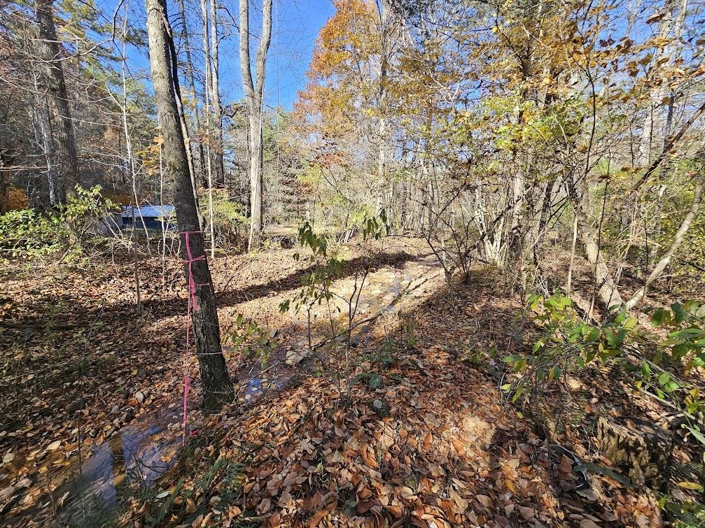 2804 OLD PARKERSBURG TPKE, WEST AUGUSTA, Virginia 24485, 2 Bedrooms Bedrooms, ,1 BathroomBathrooms,Residential,Hanger Camp,2804 OLD PARKERSBURG TPKE,670950 MLS # 670950