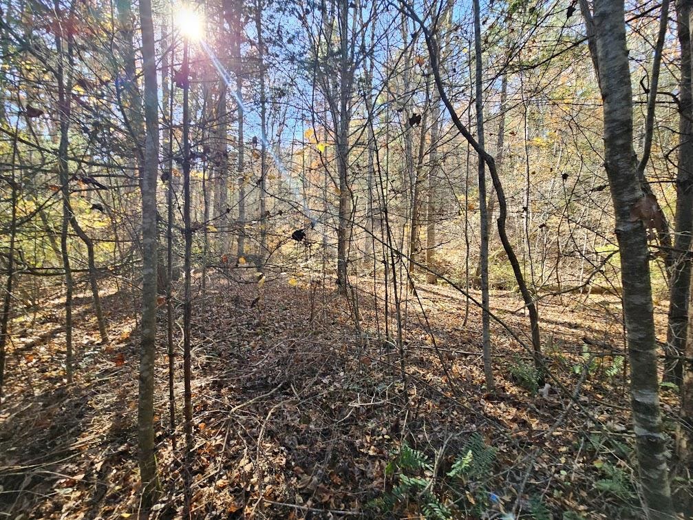 2804 OLD PARKERSBURG TPKE, WEST AUGUSTA, Virginia 24485, 2 Bedrooms Bedrooms, ,1 BathroomBathrooms,Residential,Hanger Camp,2804 OLD PARKERSBURG TPKE,670950 MLS # 670950